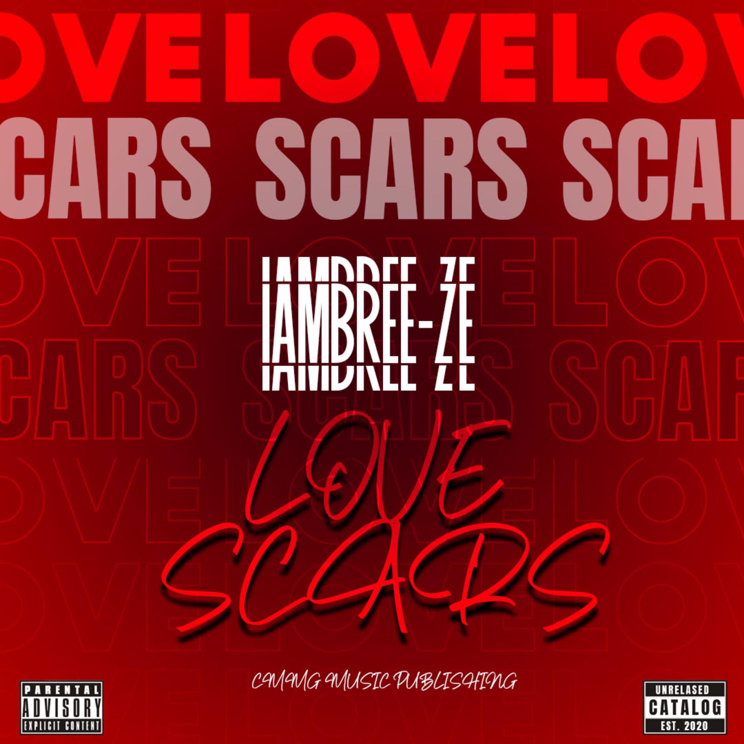 Love Scars by iamBree-Ze cover art
