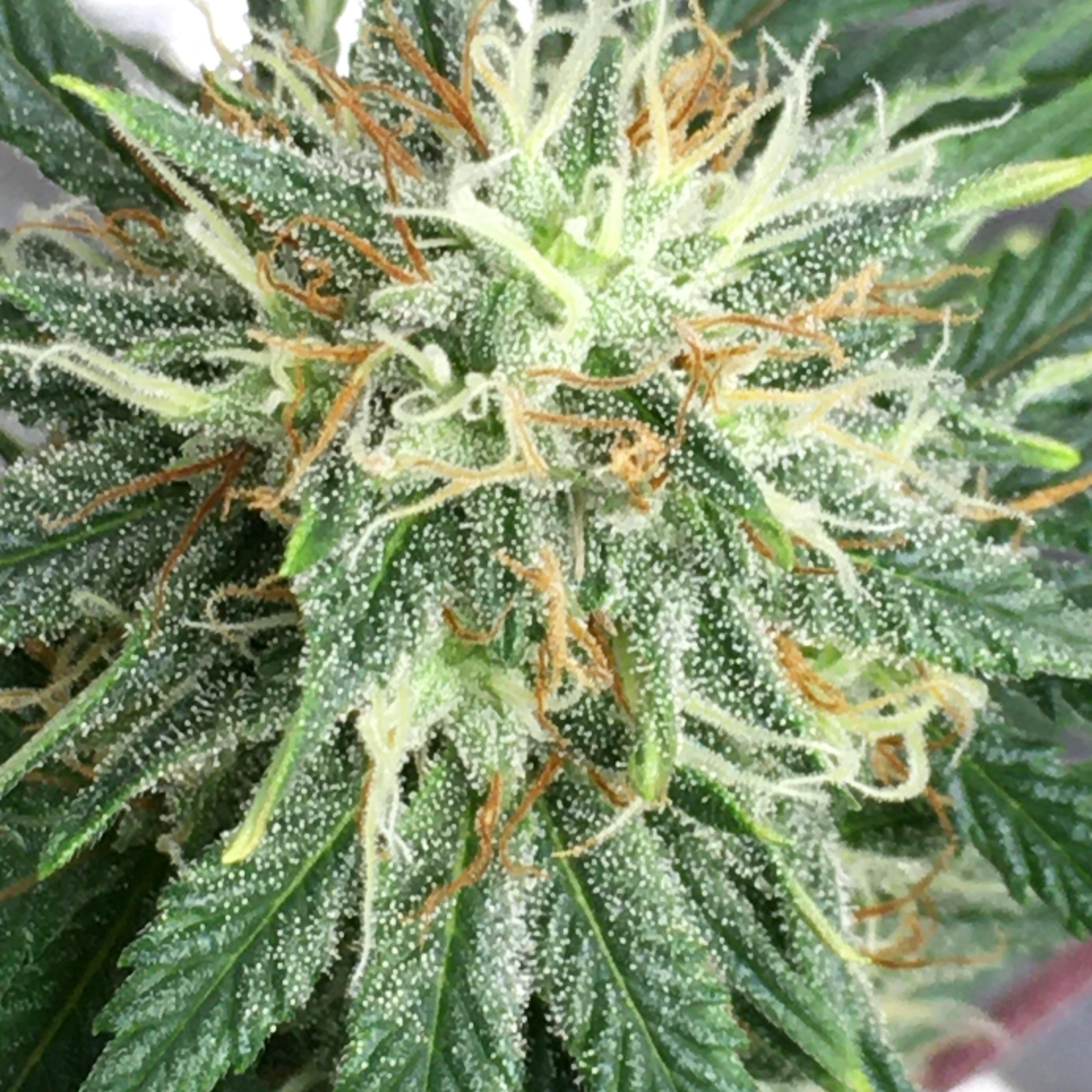 Close With My Spirits artwork