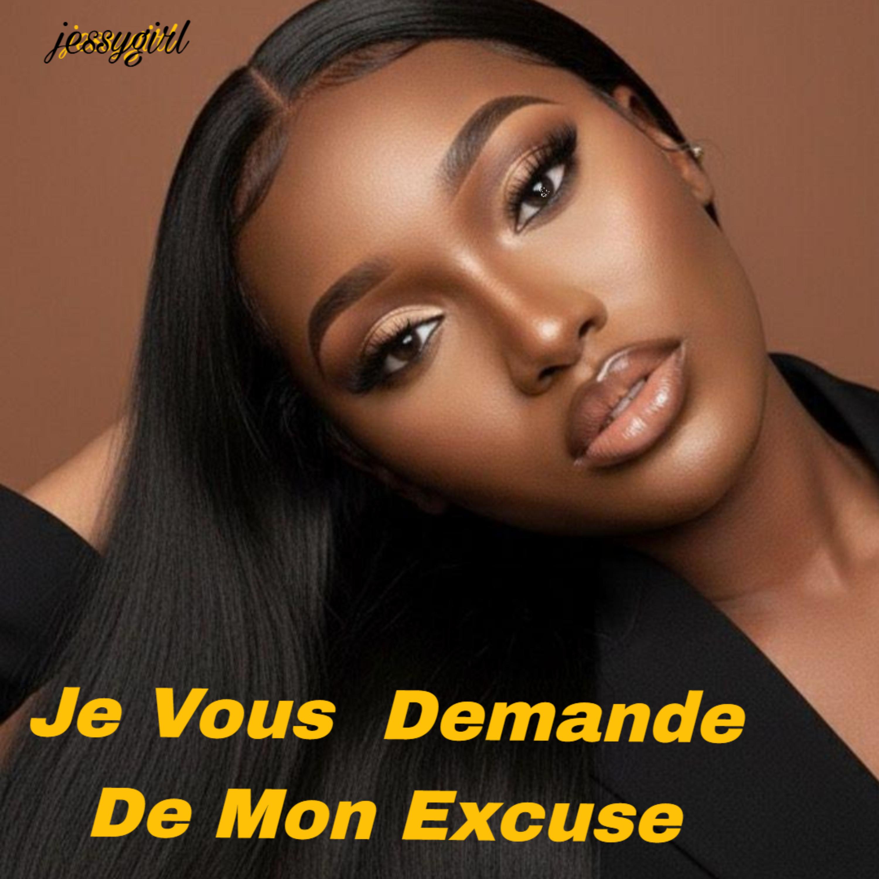 Je Vous  Demande De Mon Excuse artwork