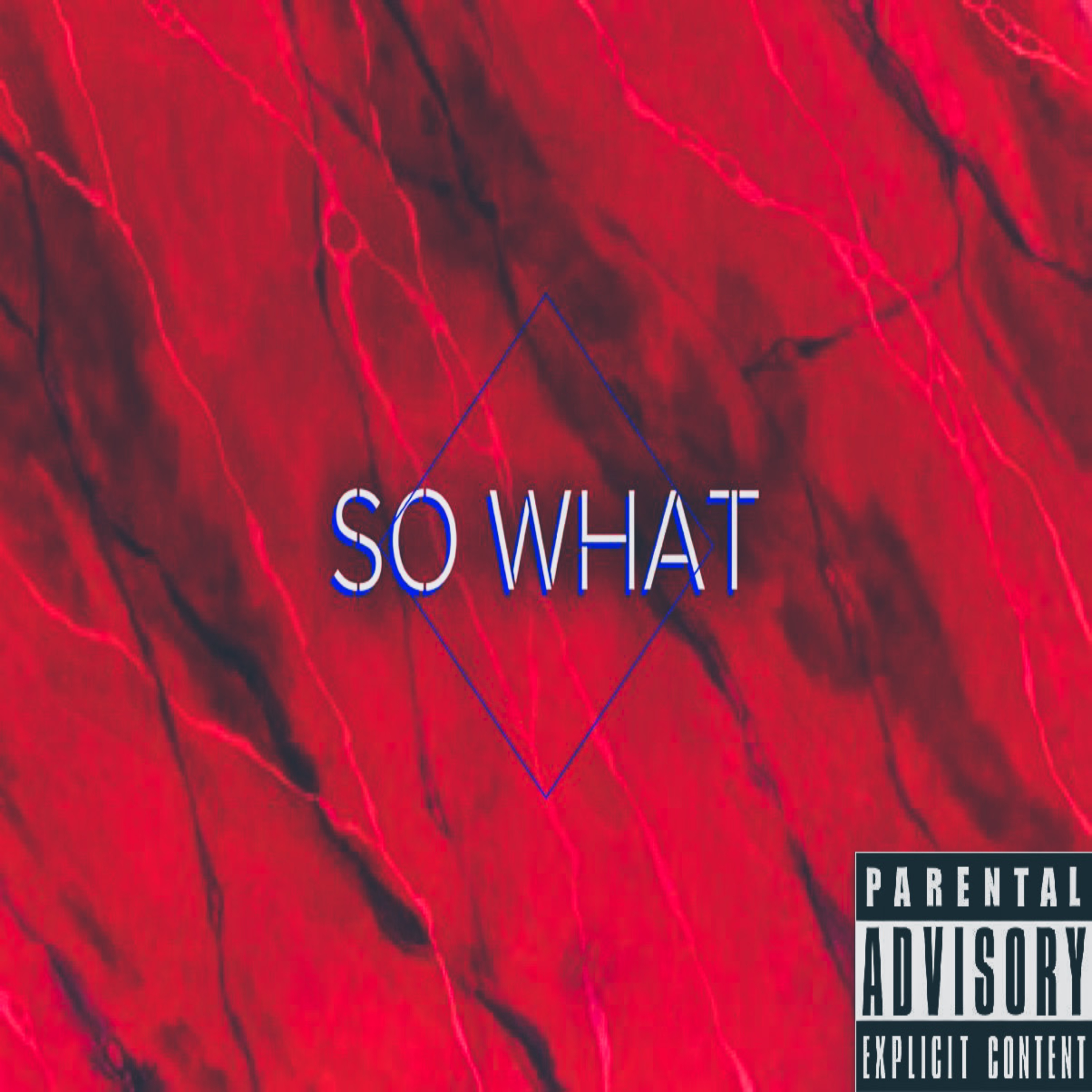 So What by Tae Silvers cover art