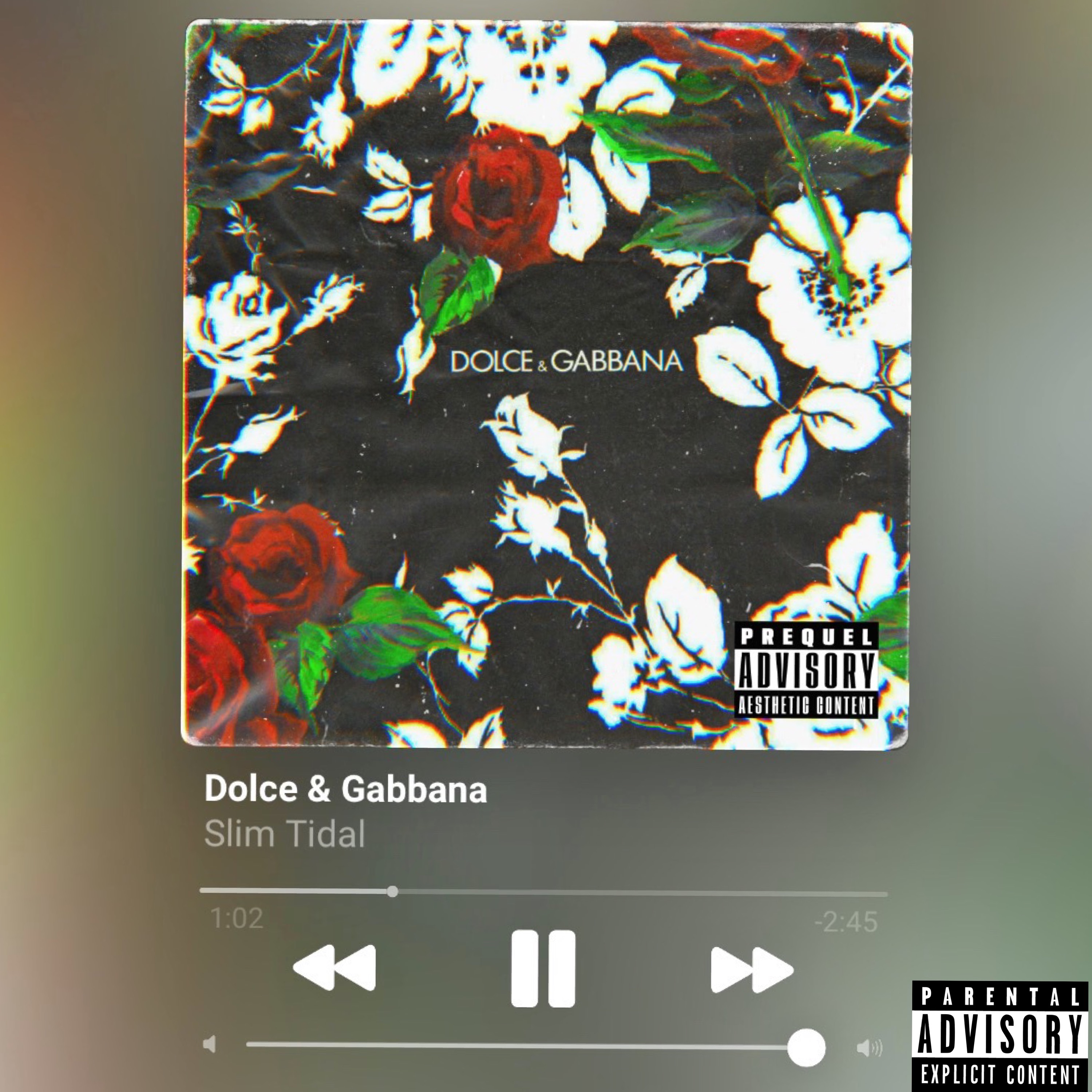 Dolce & Gabbana artwork