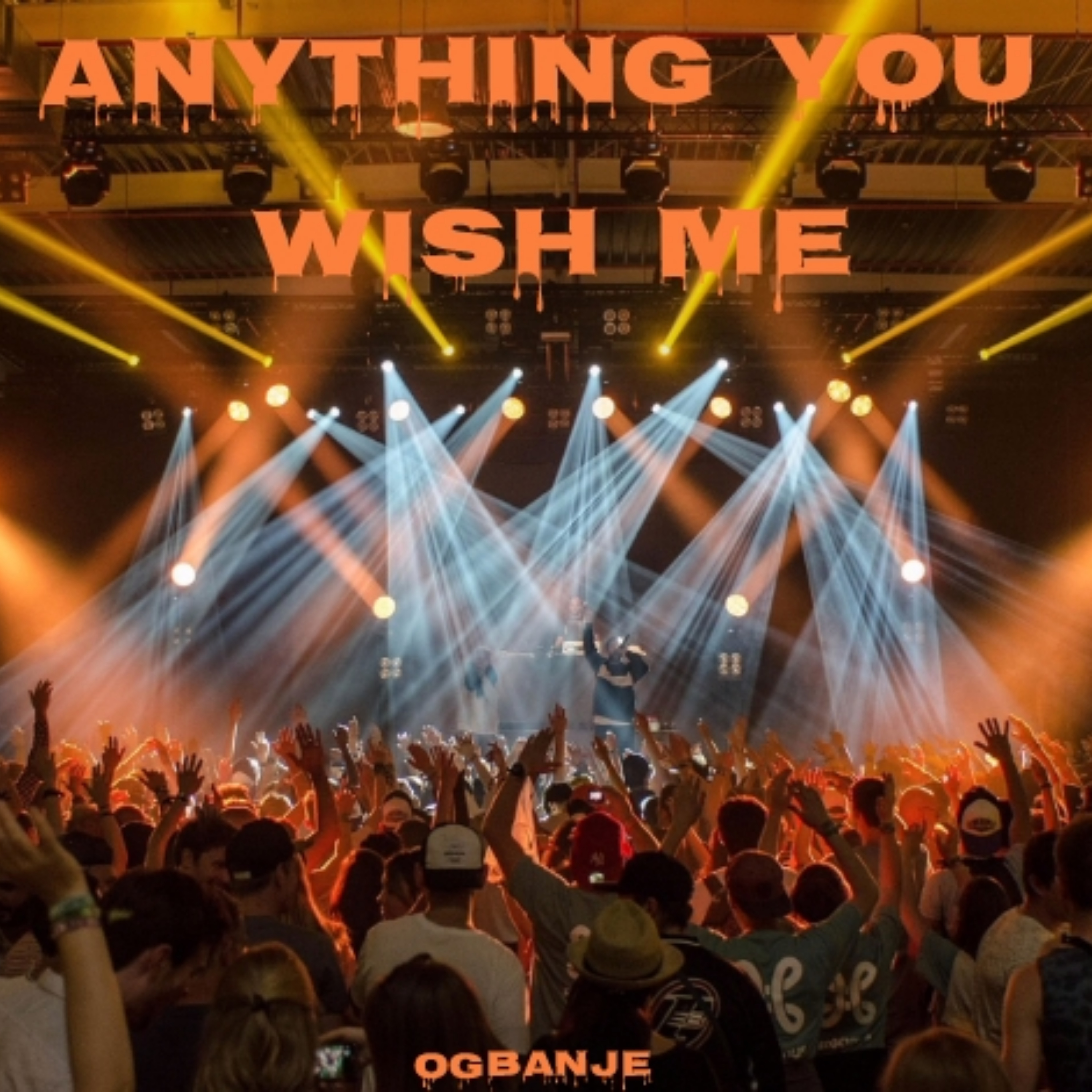 ANYTHING YOU WISH ME artwork