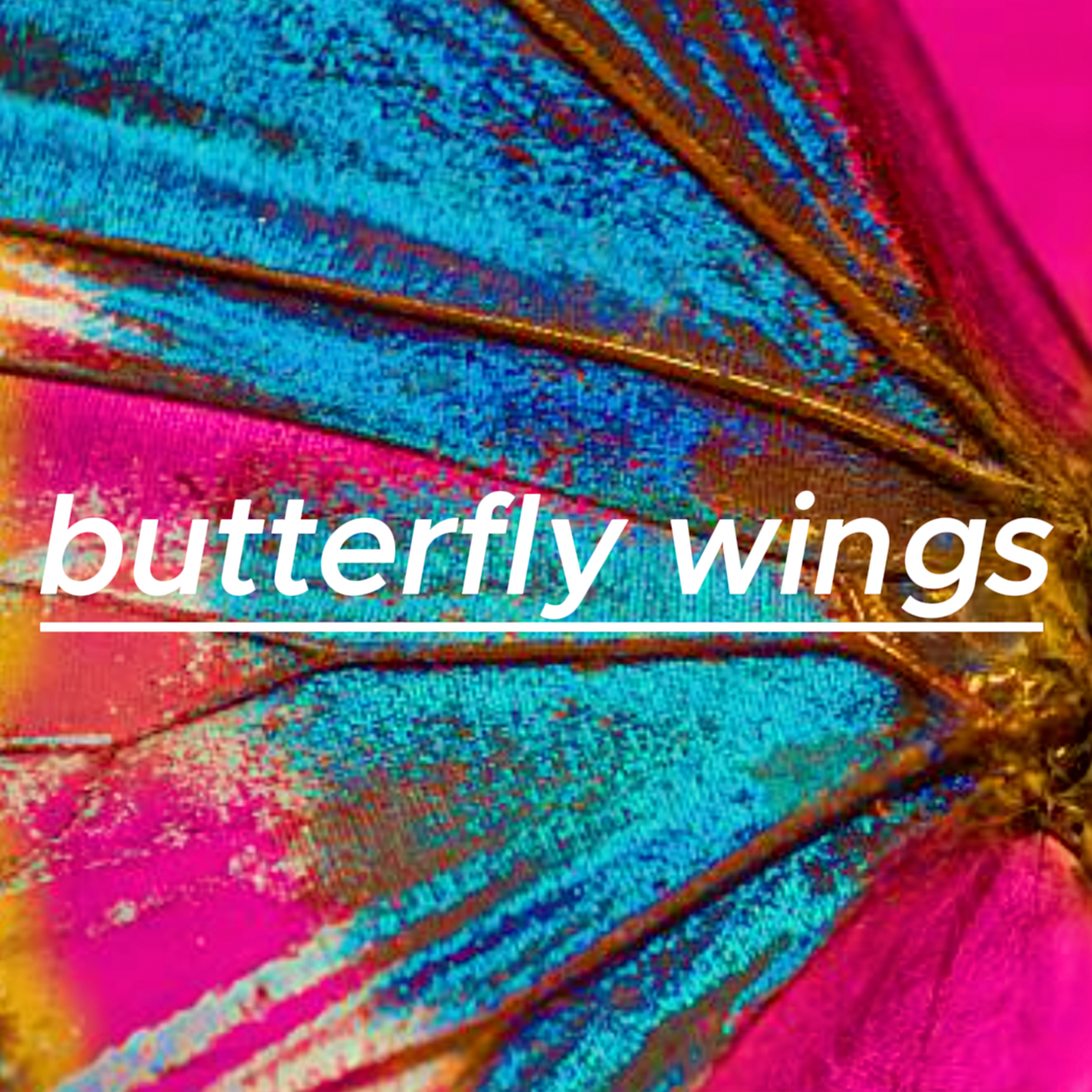 butterfly wings artwork
