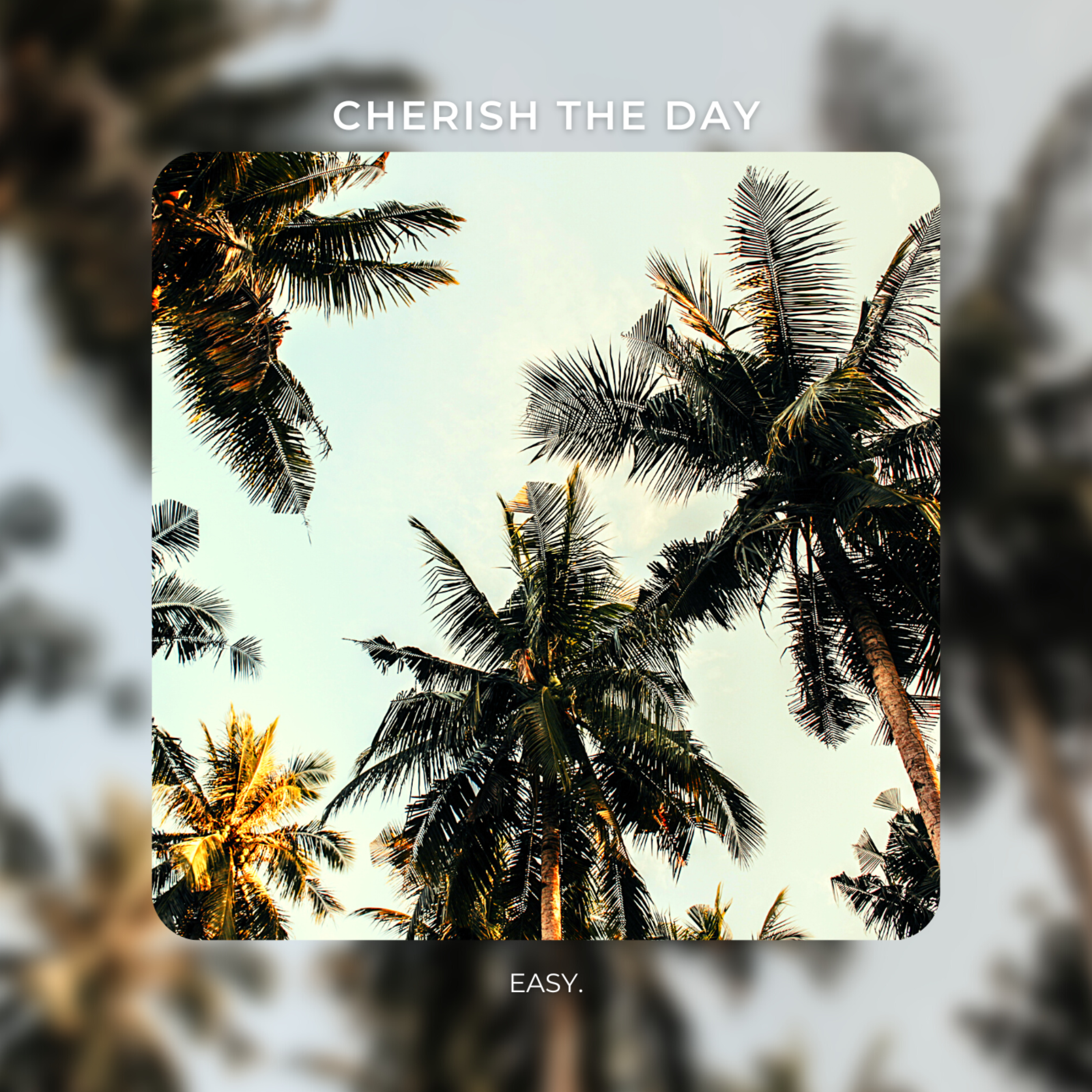 Cherish The Day artwork