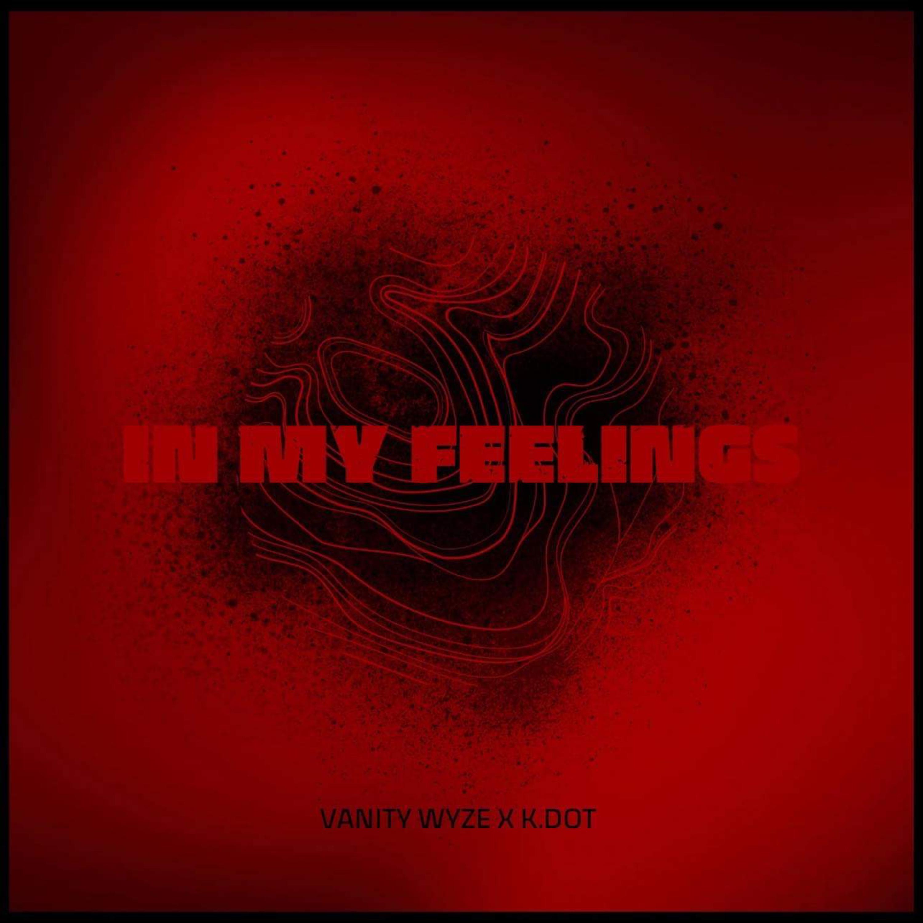 In My Feelings by Vanity Wyze cover art