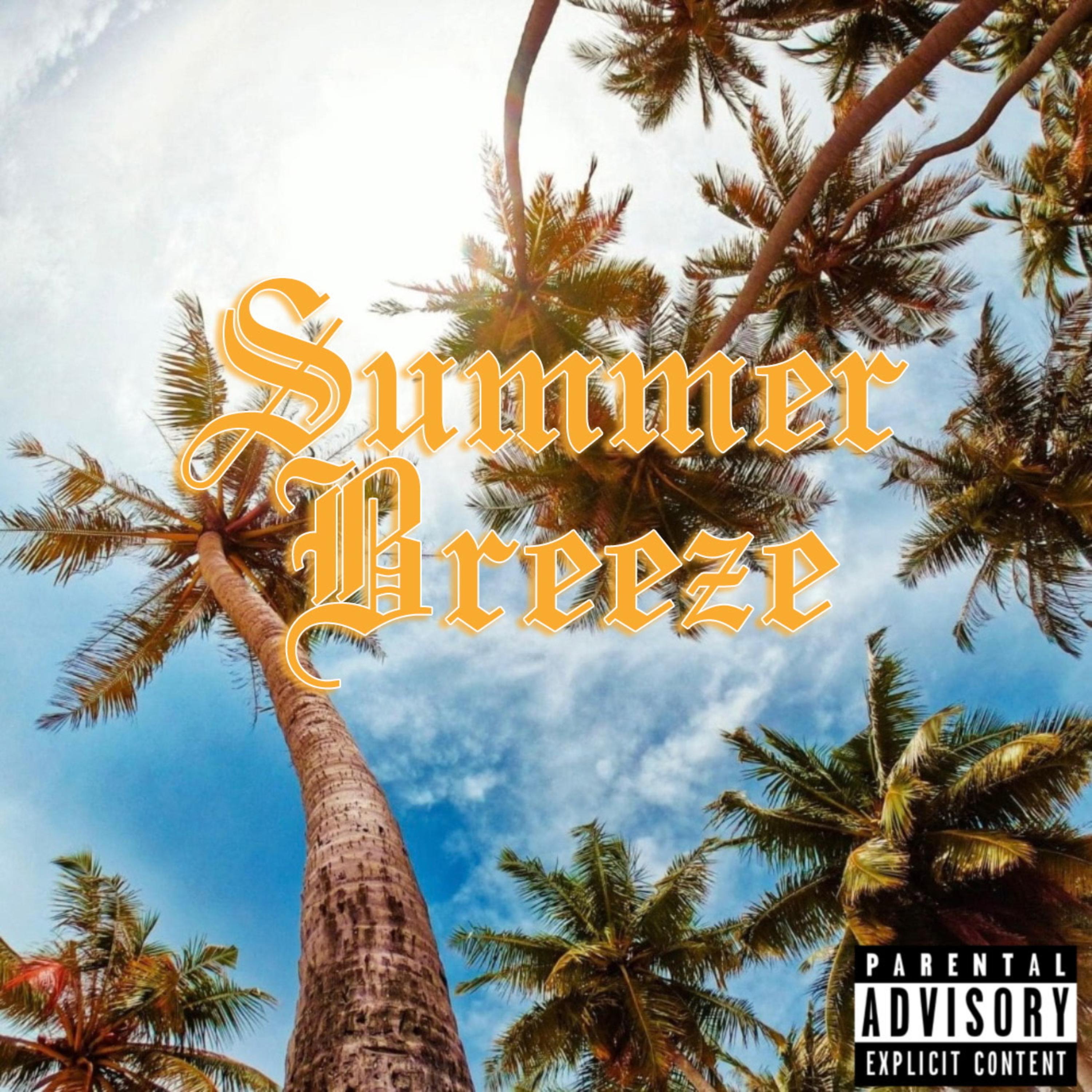 Summer Breeze artwork