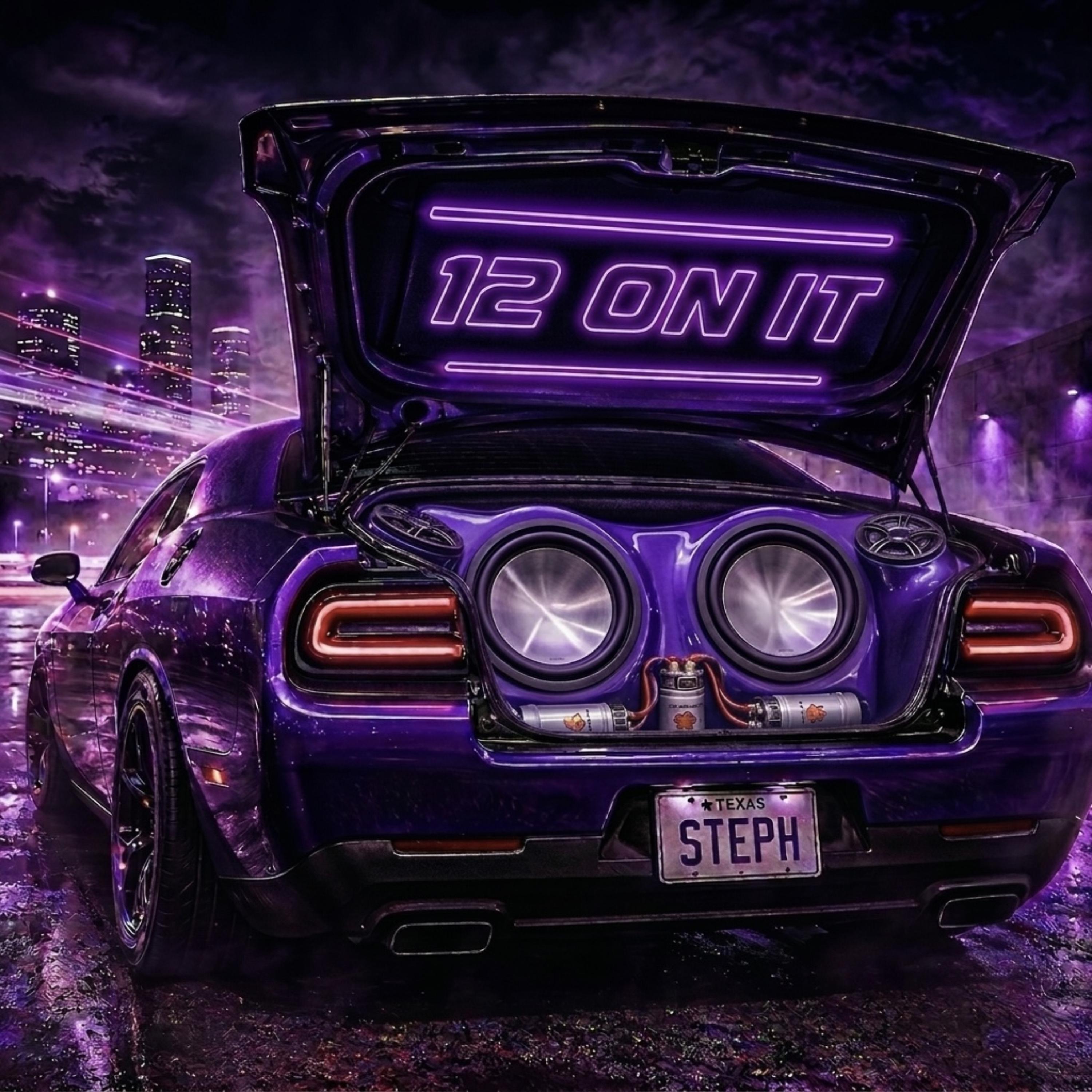 12 ON IT by Steph cover art
