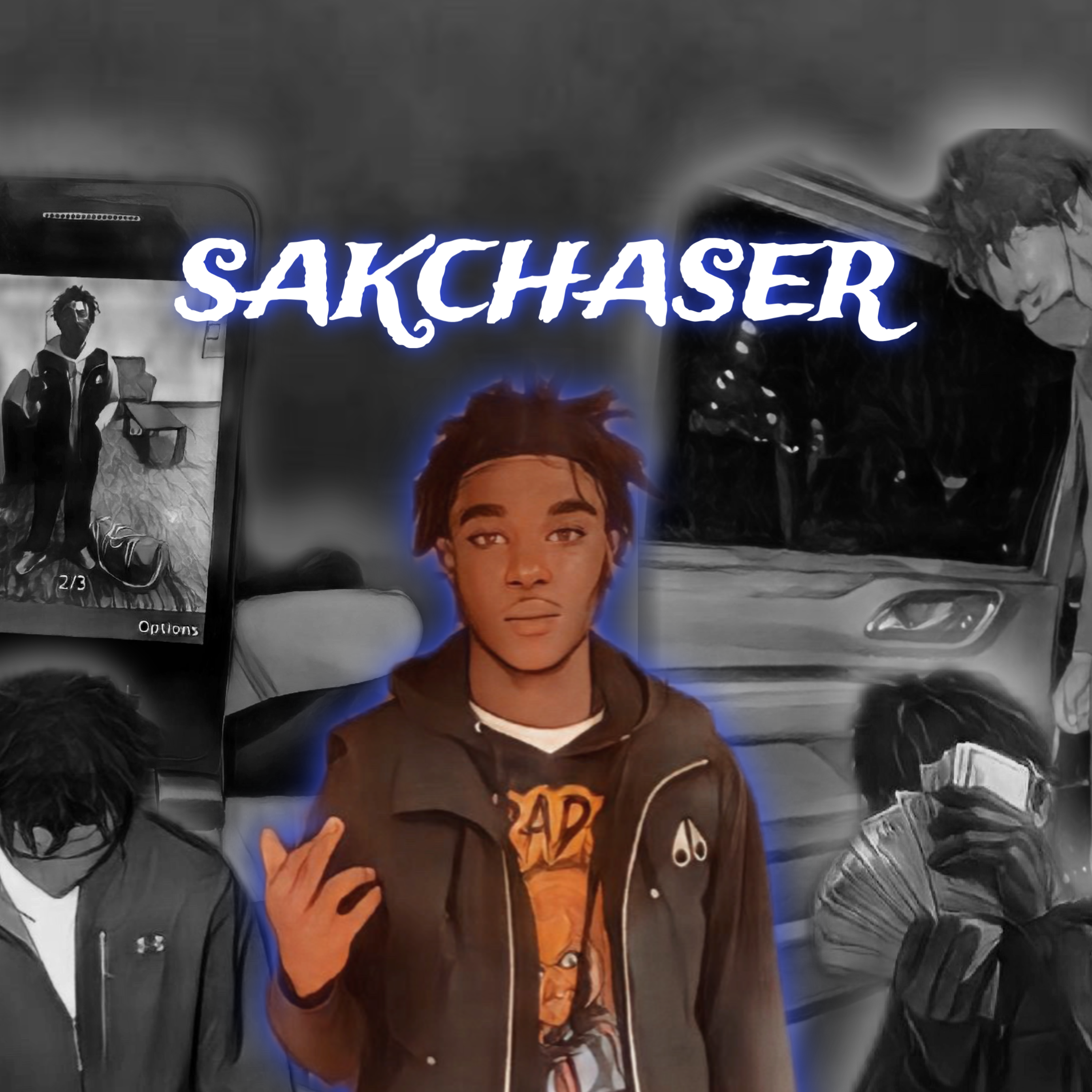 SakChaser by Shizz13k cover art