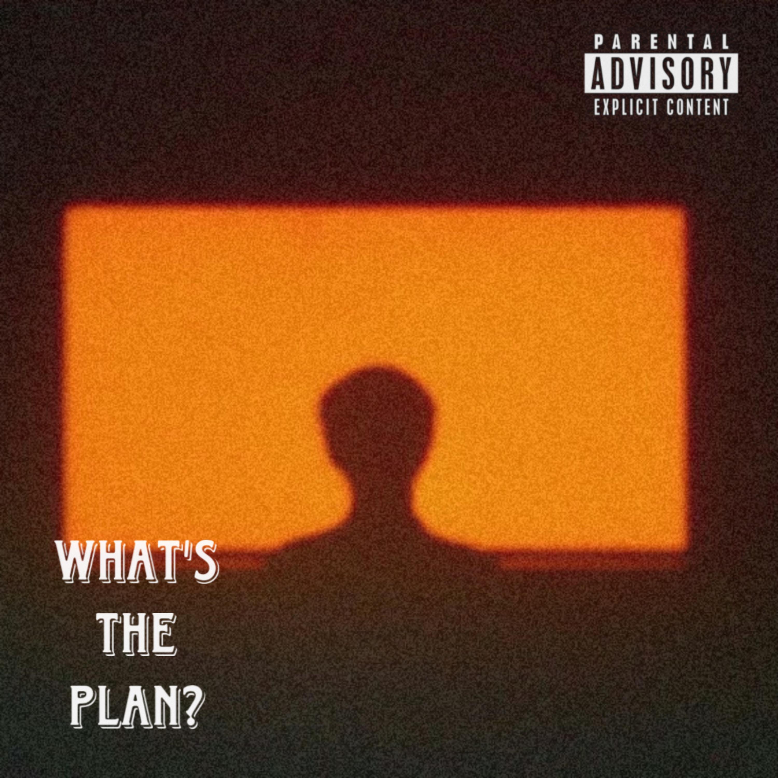 what’s the plan? artwork