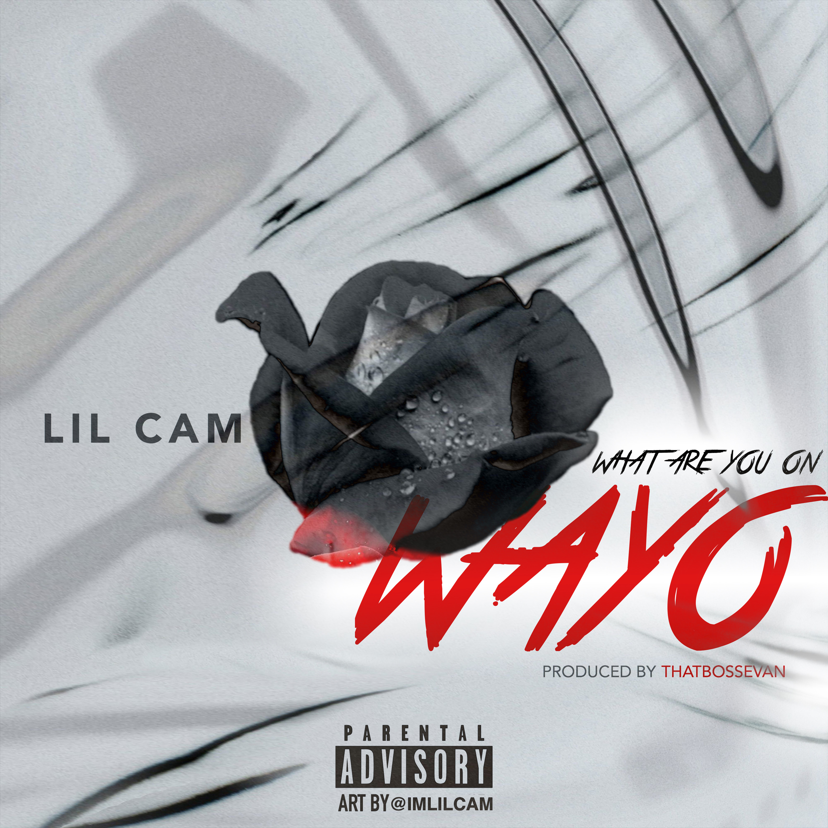 WHAT ARE YOU ON artwork