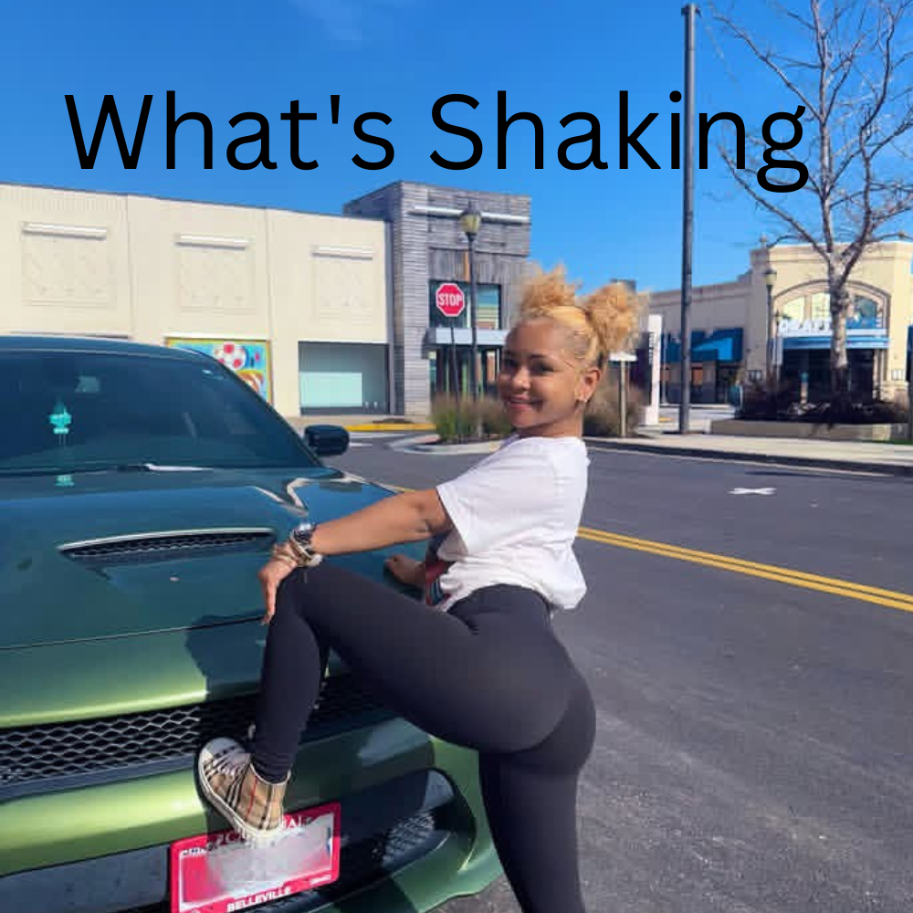 What's Shaking artwork