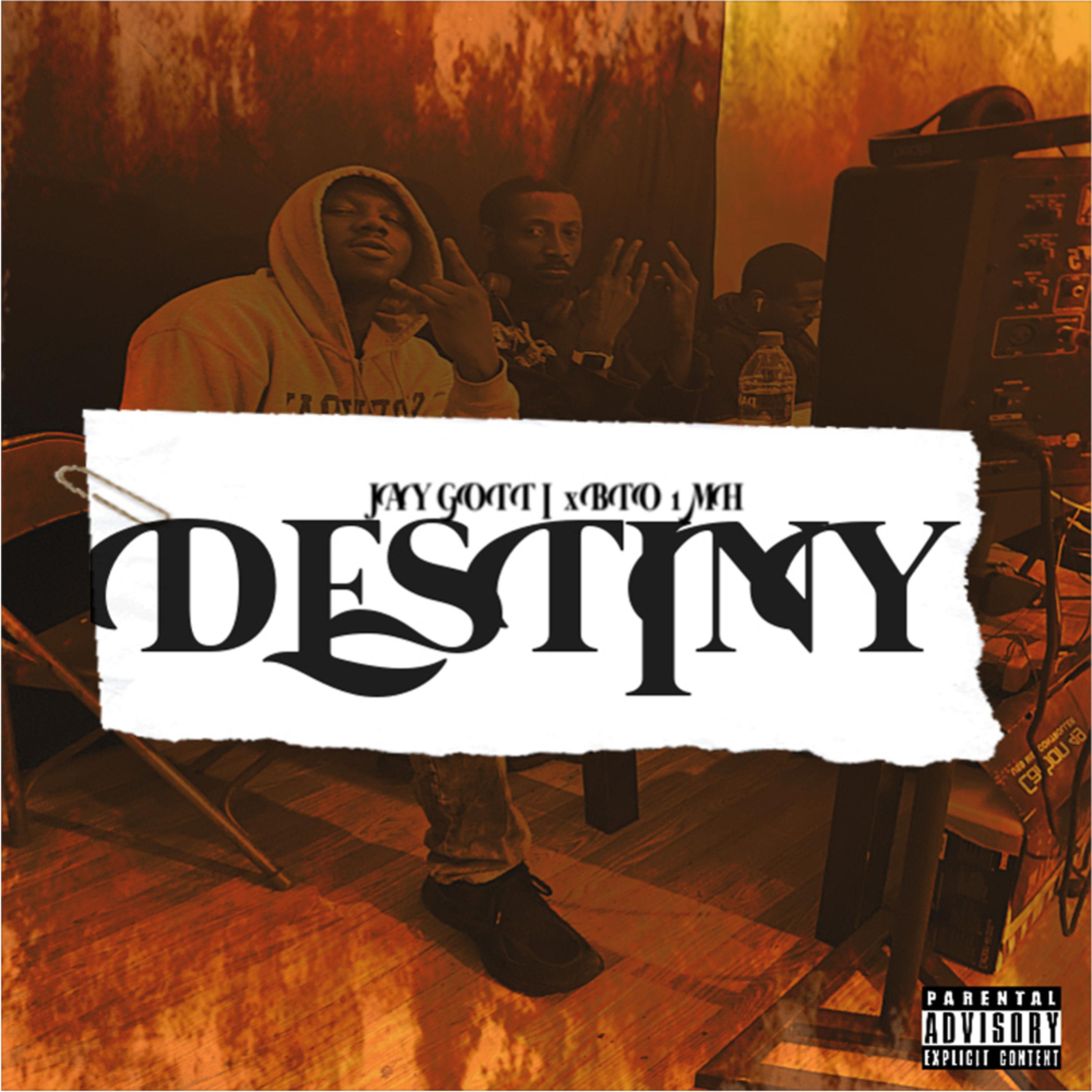 Destiny by Jay Gotti 215 cover art