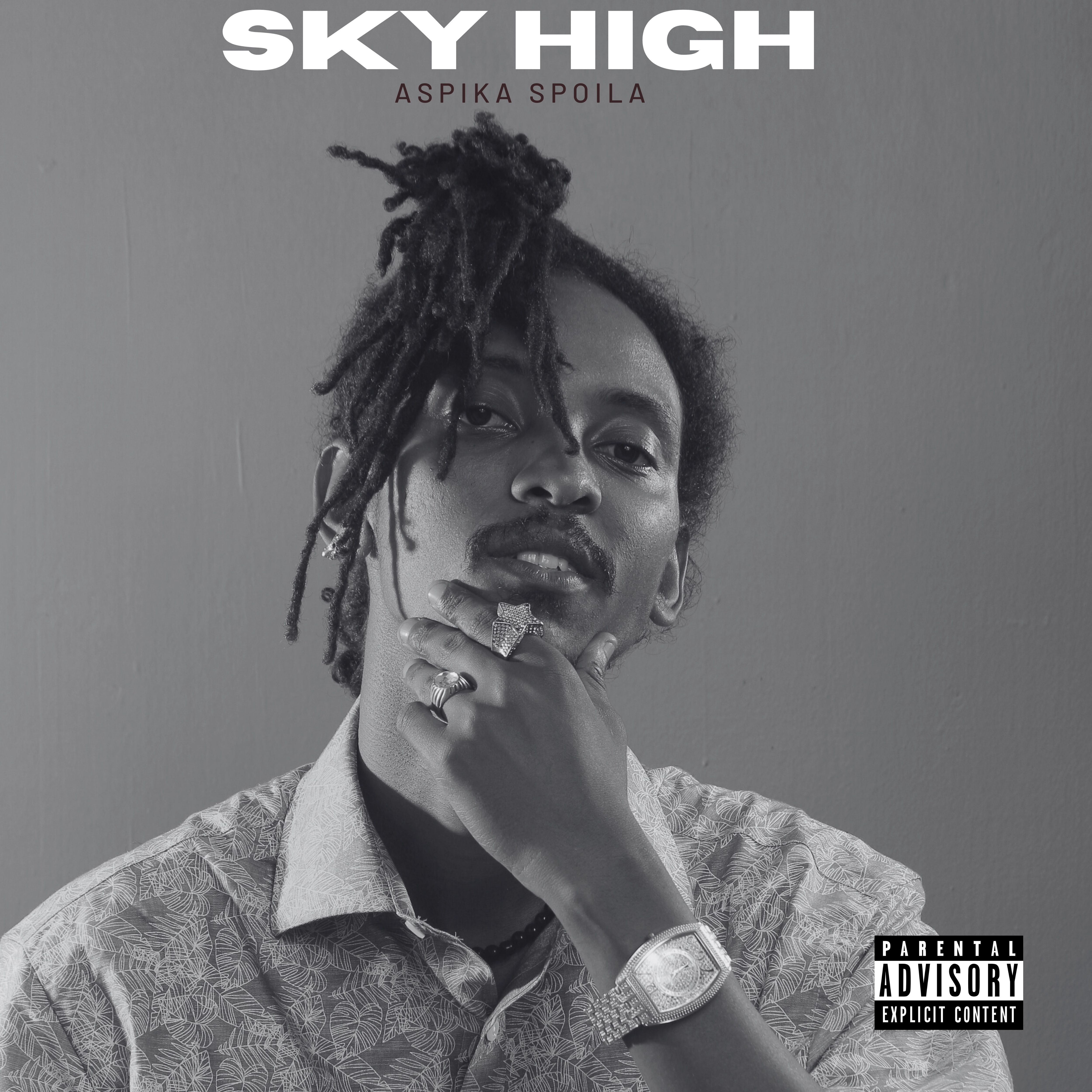 Sky High artwork