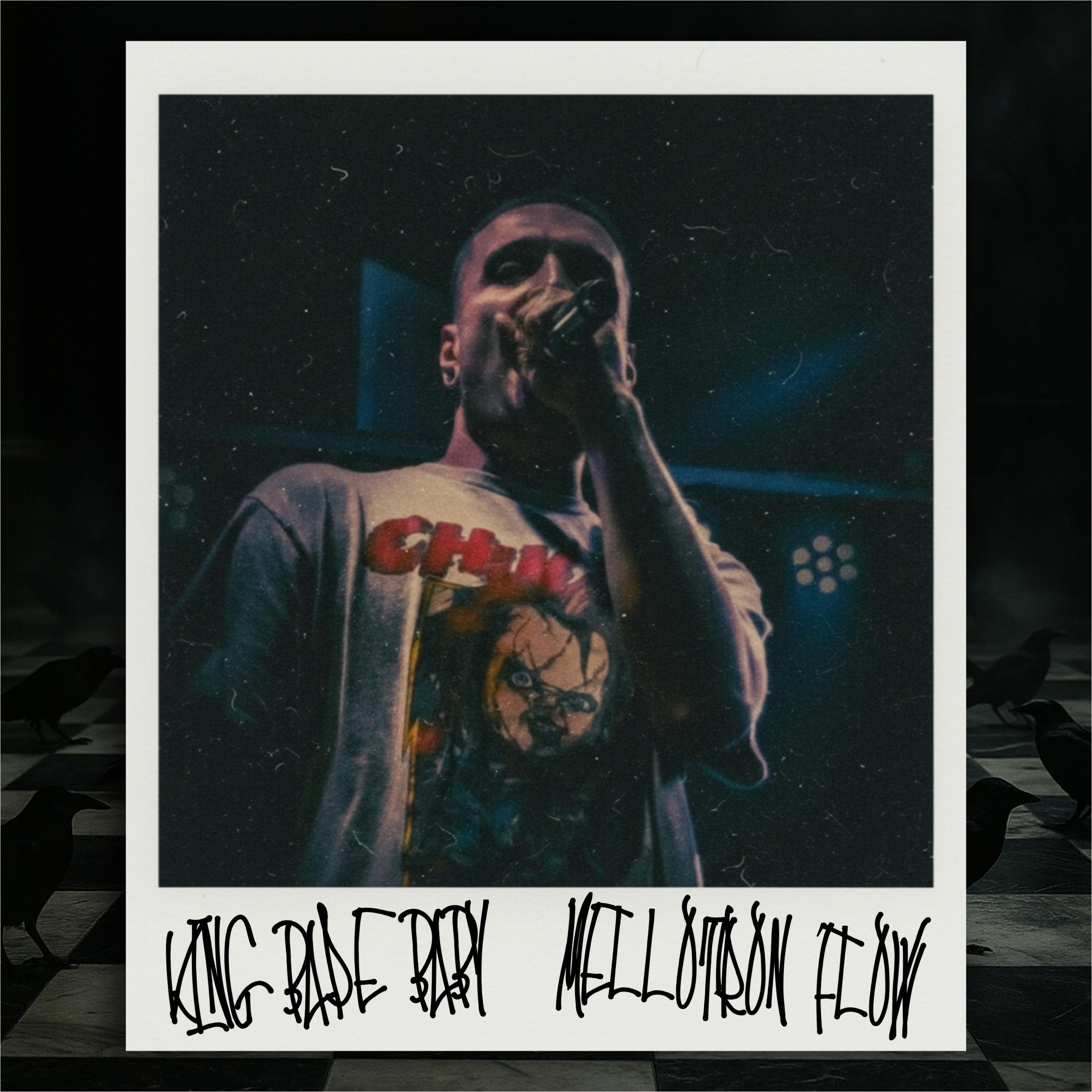 MELLOTRON FLOW artwork