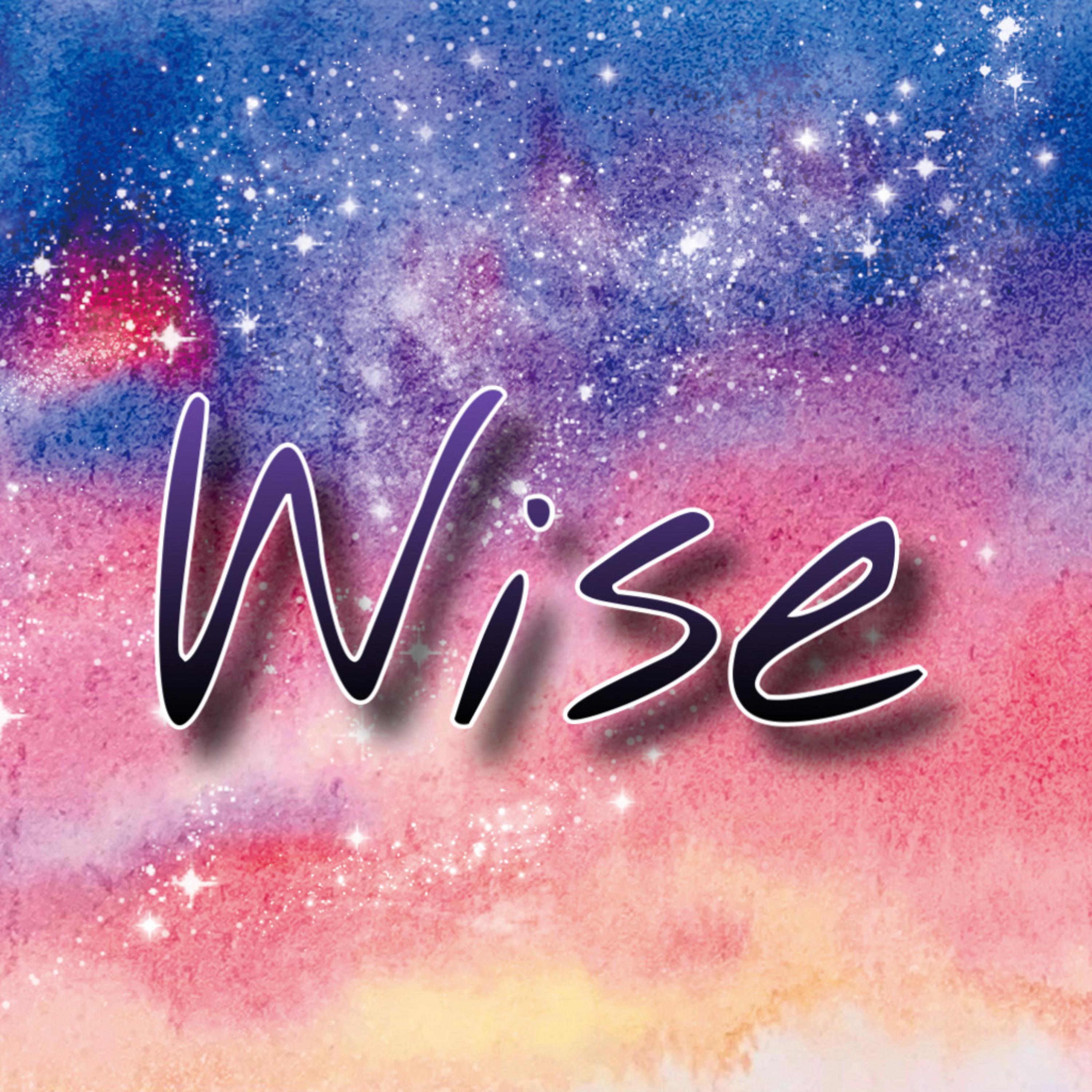 Wise artwork