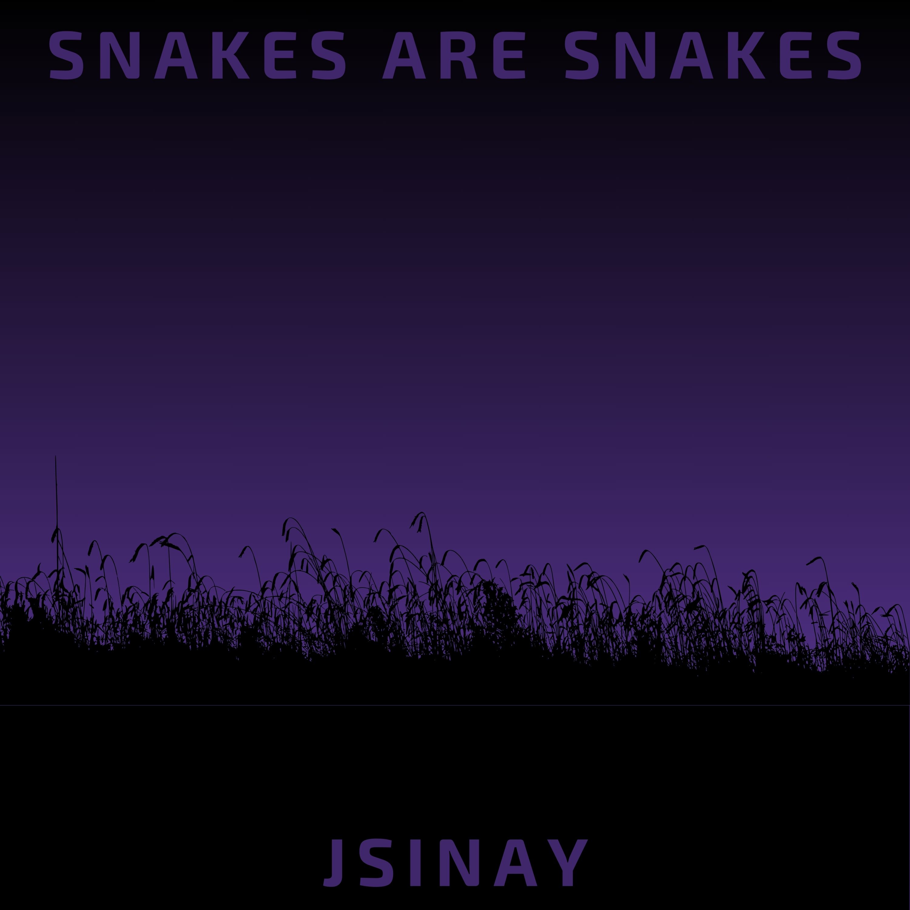 Snakes Are Snakes artwork