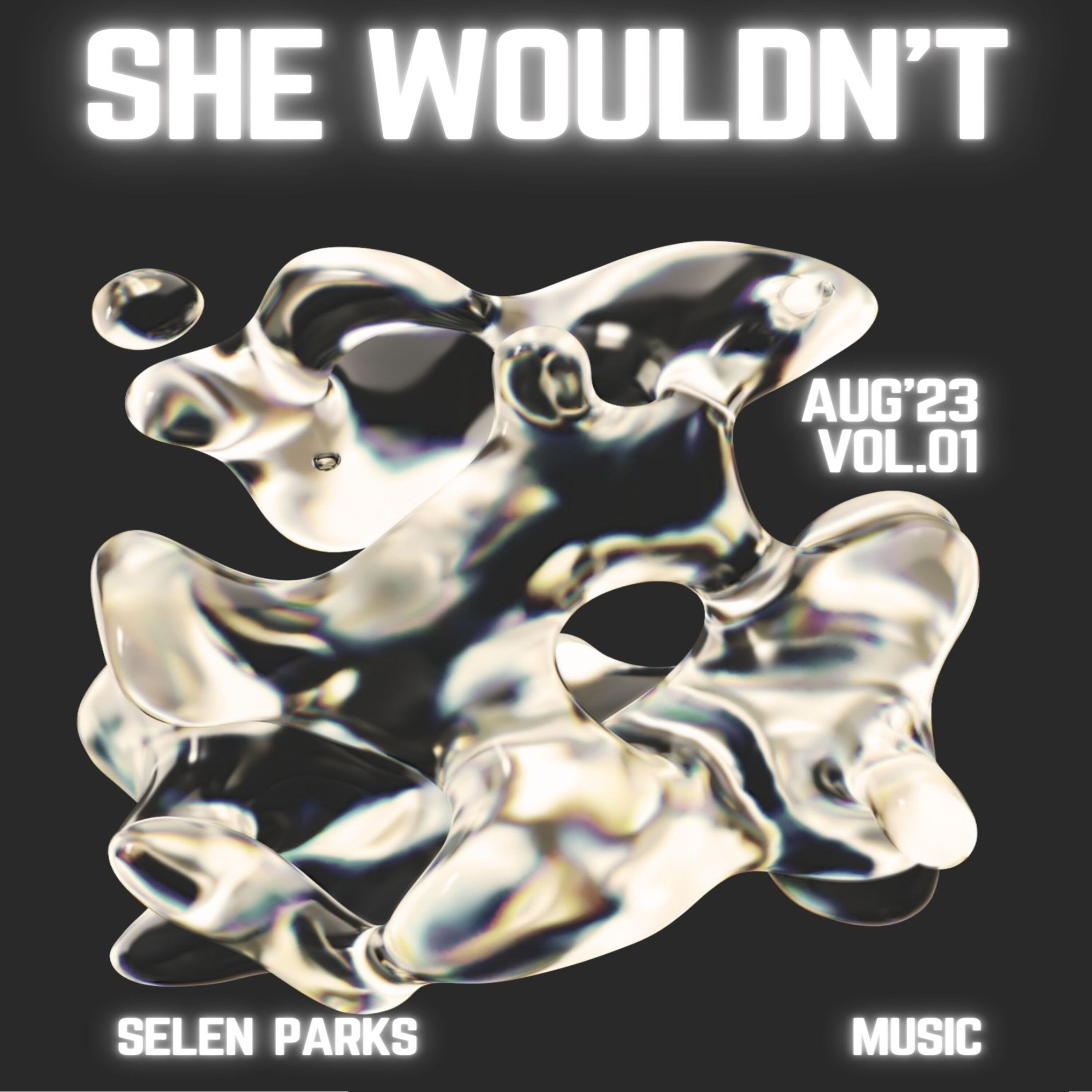She Wouldn't artwork
