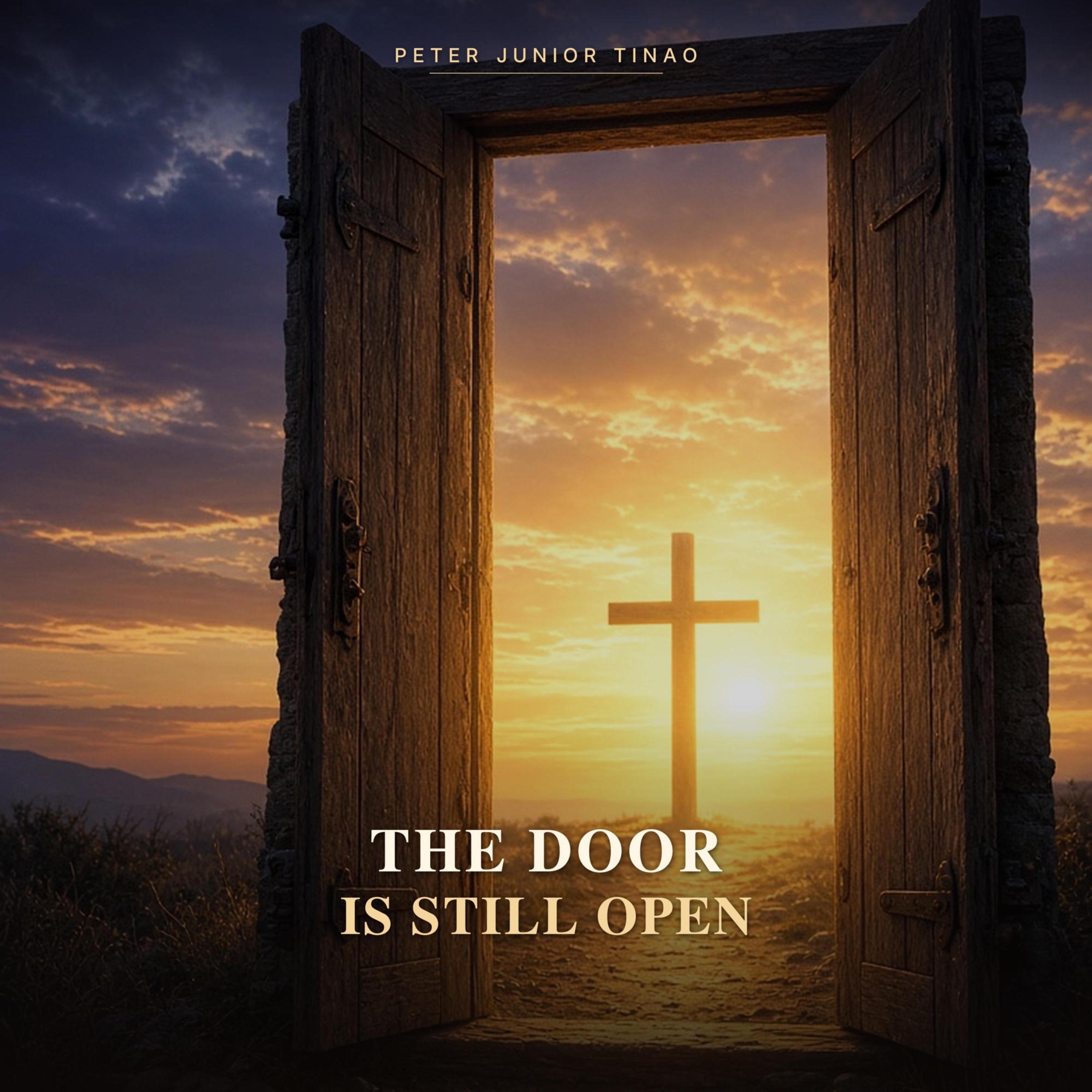 The Door Is Still Open by Peter Junior Tinao cover art