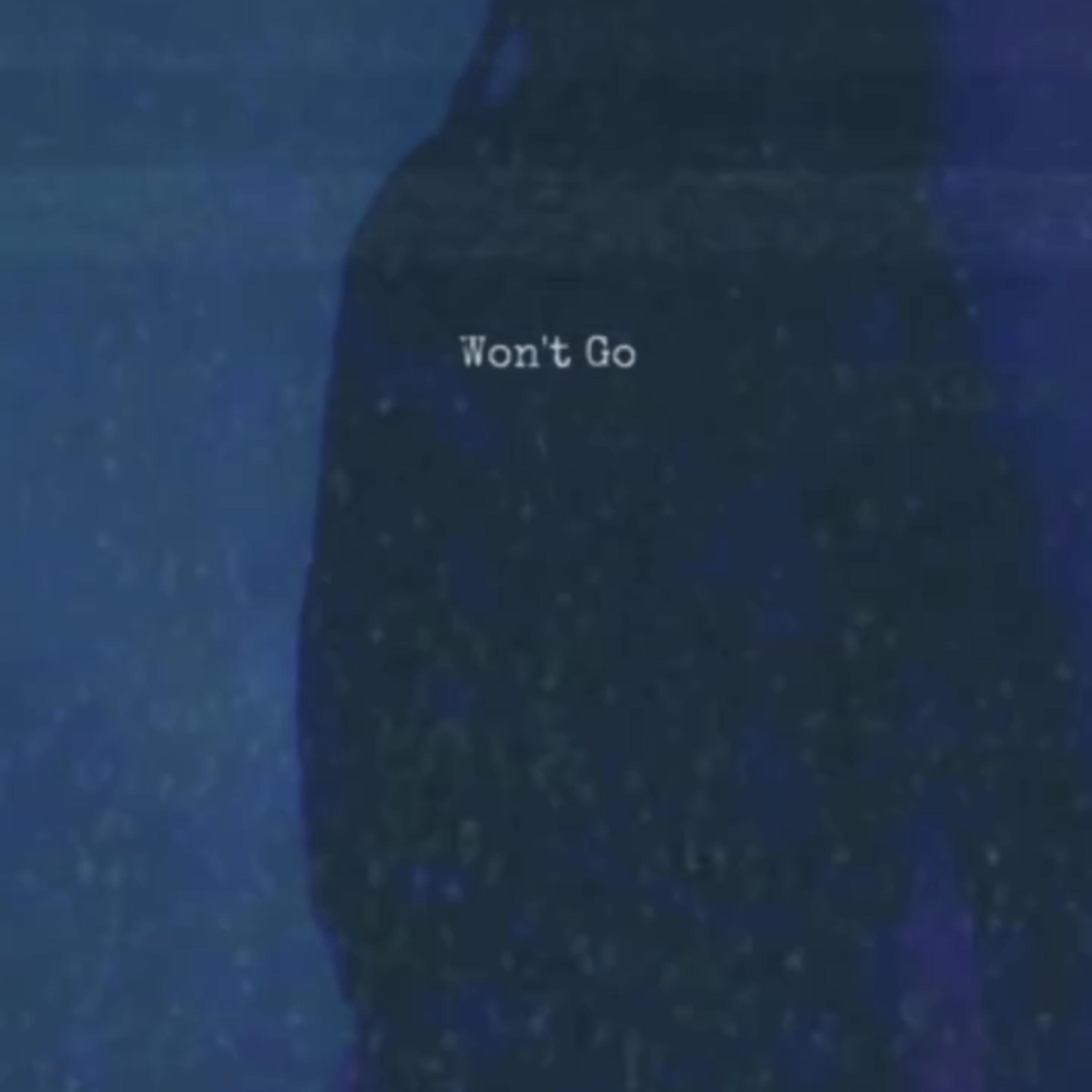 Won’t Go by PredoSpit cover art