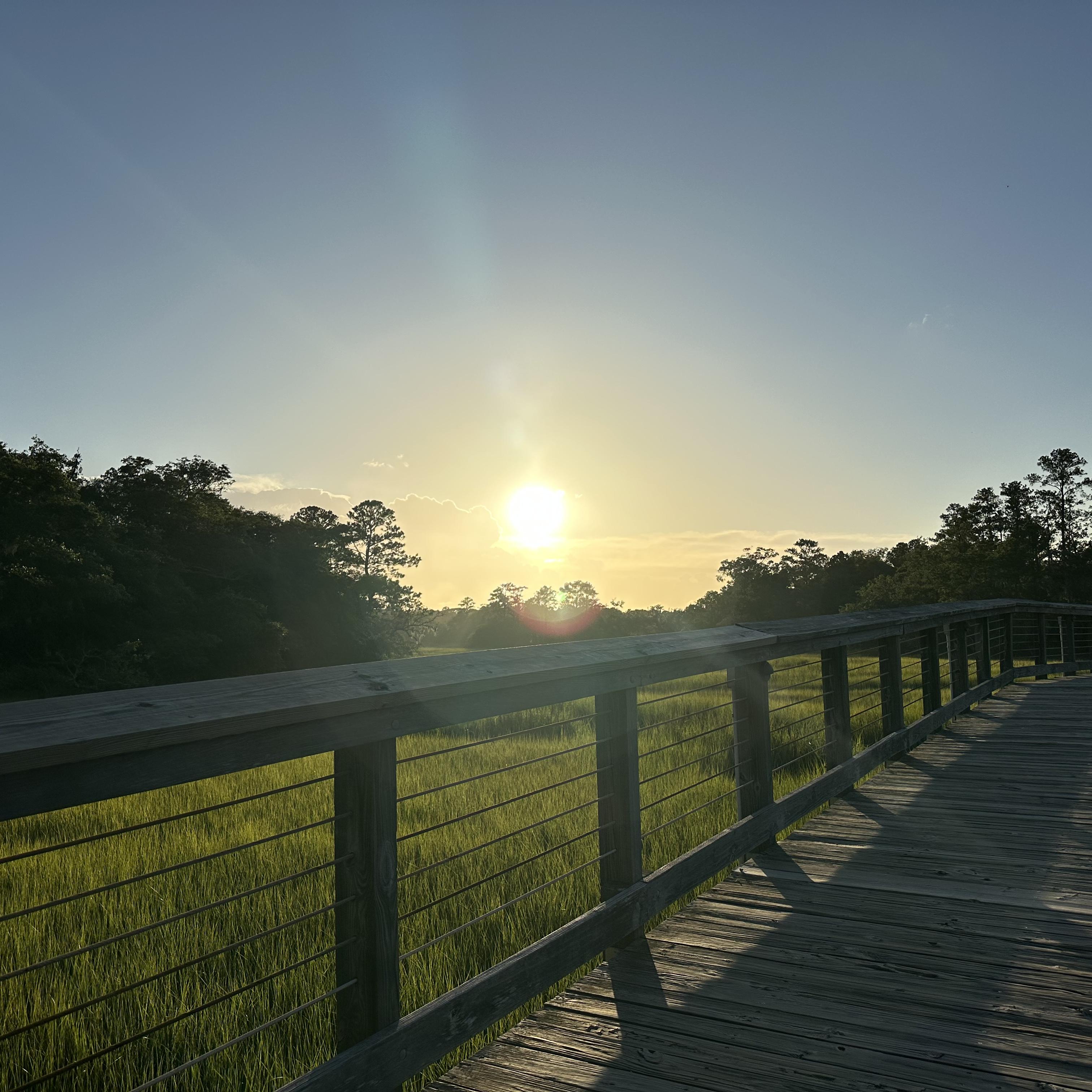 Songs From The Lowcountry artwork