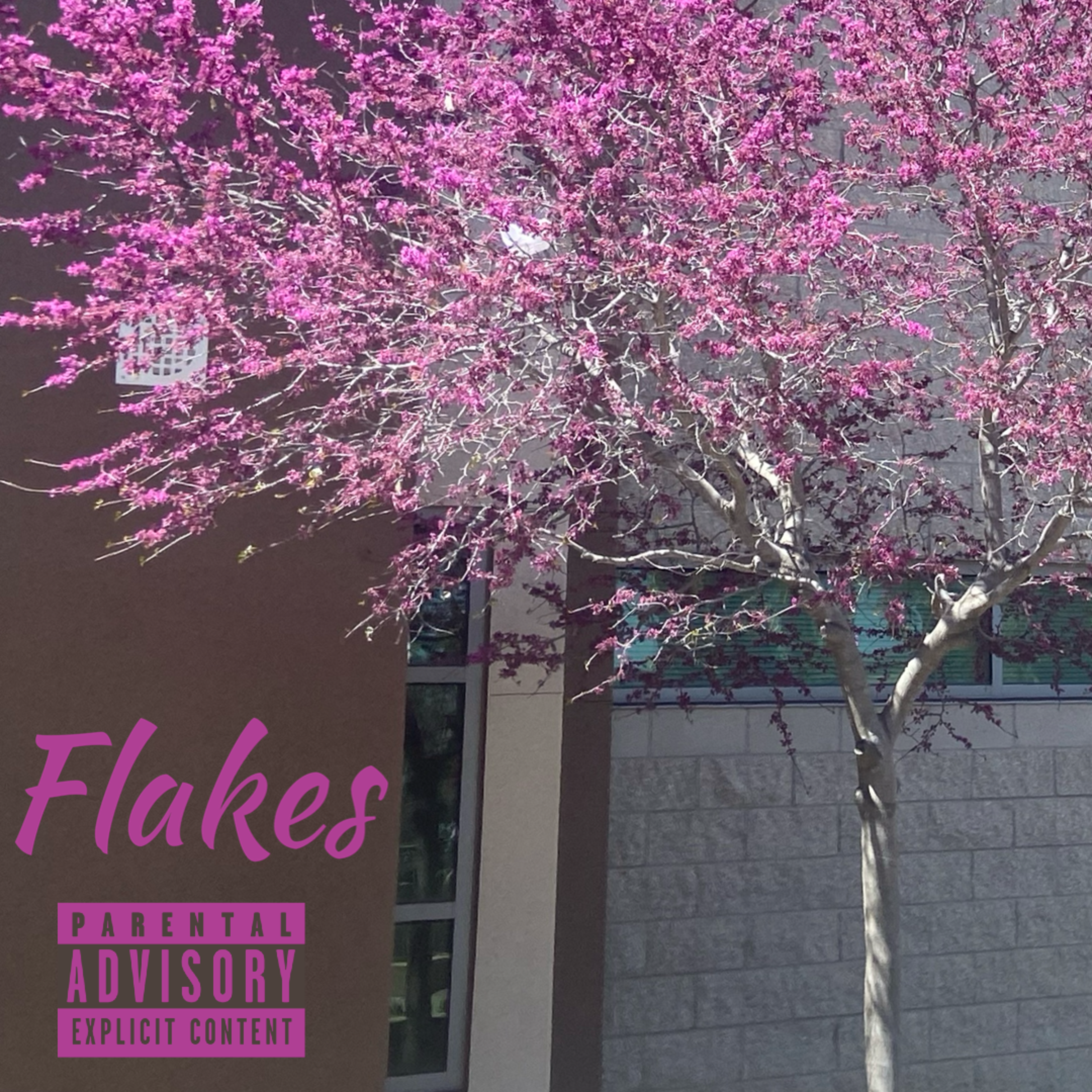 Flakes artwork