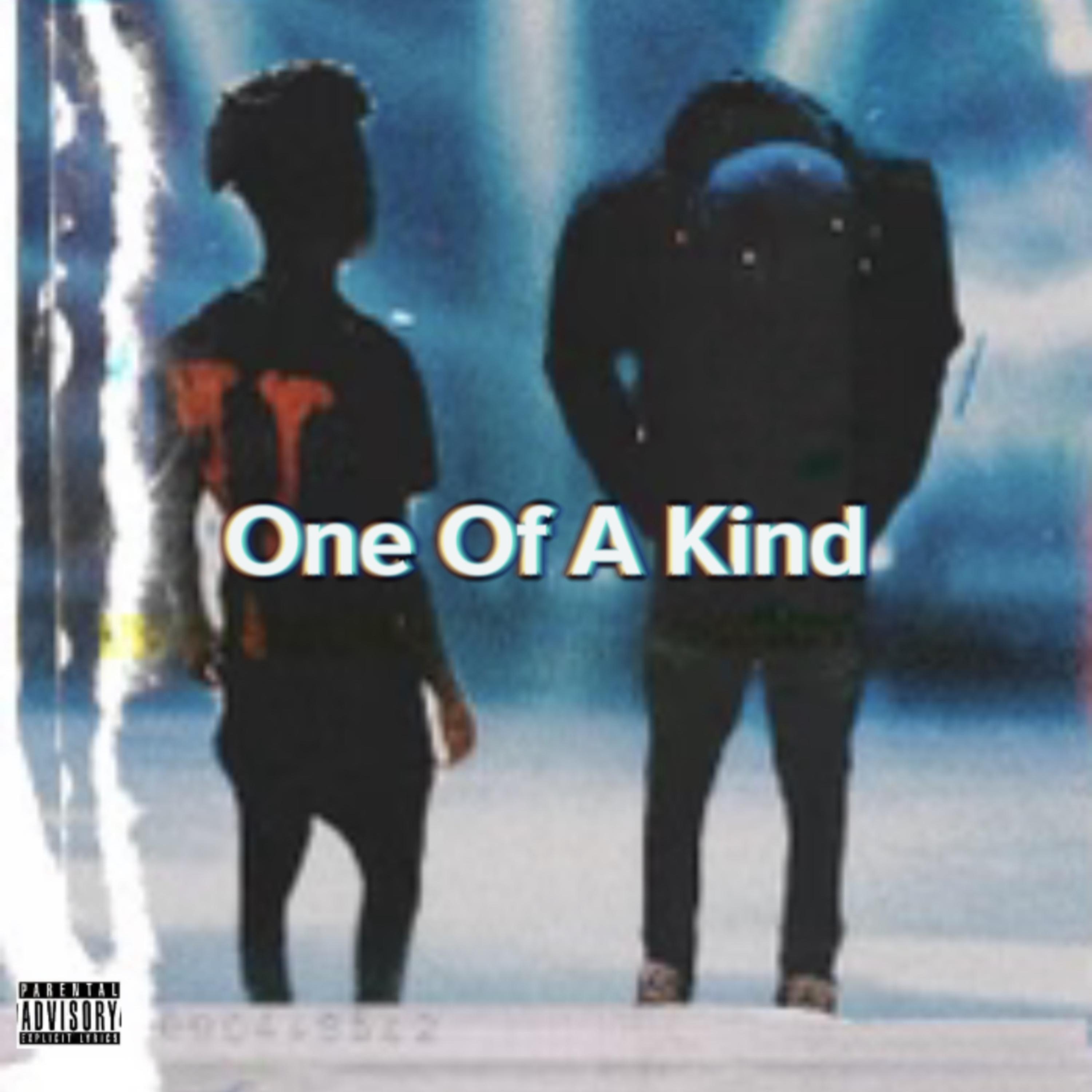 One Of A Kind artwork