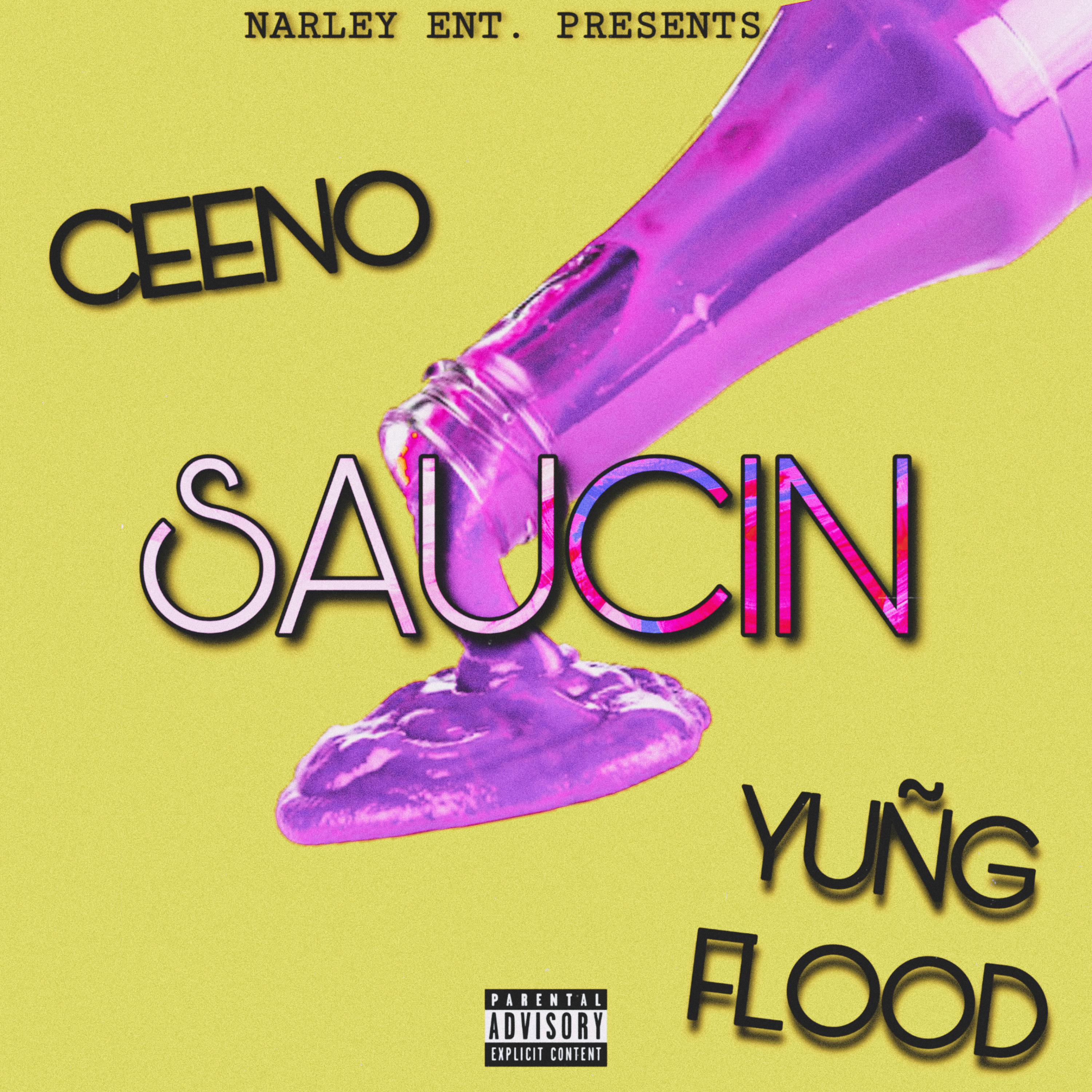 Saucin artwork