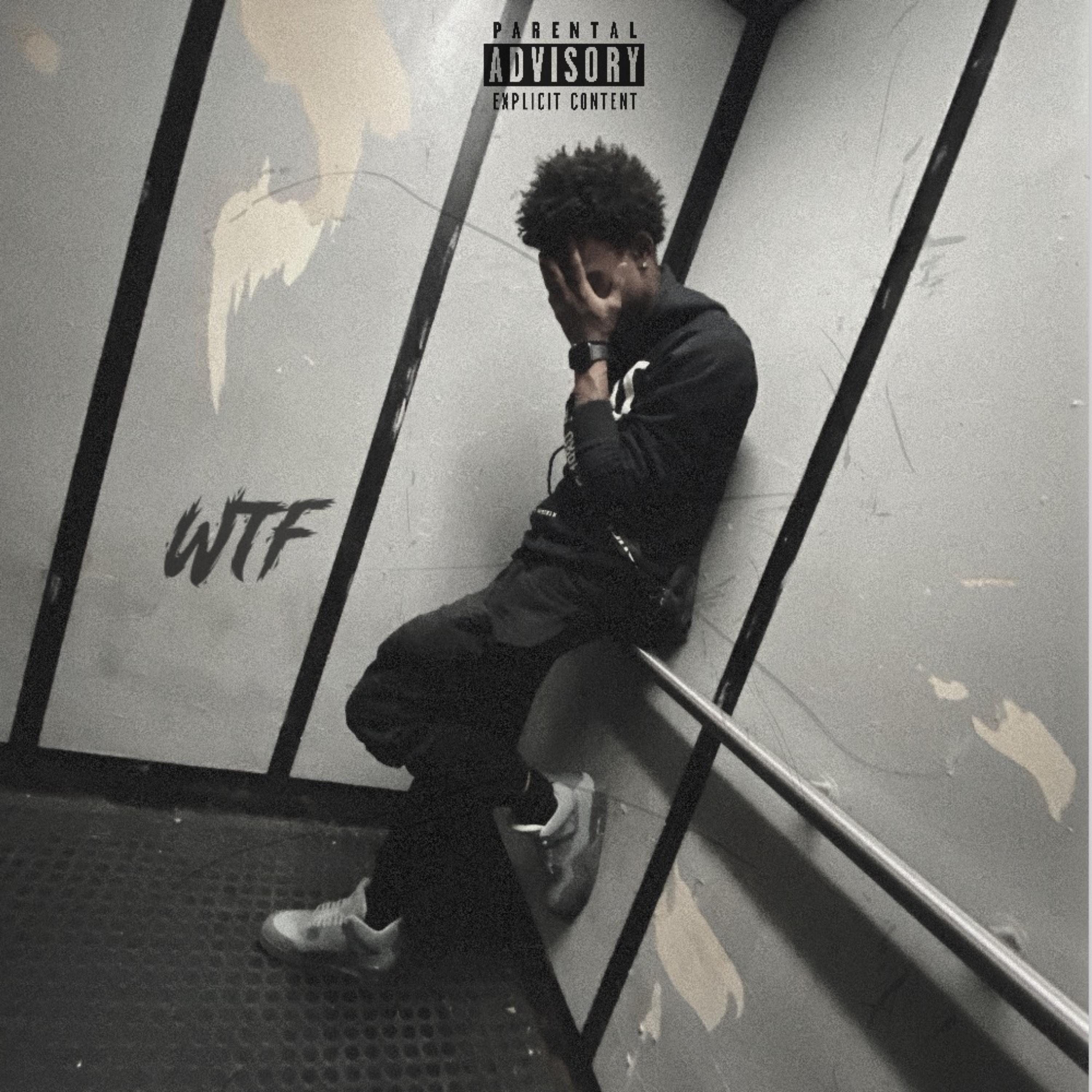 WTF by LuhNickk cover art