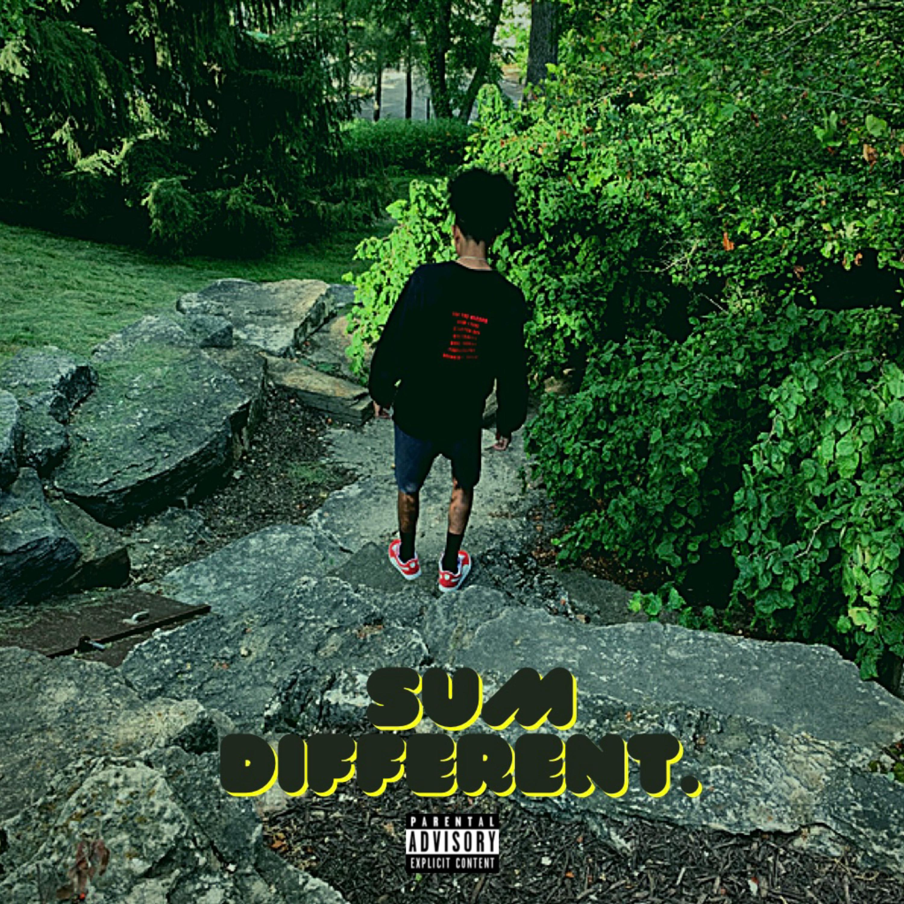 SUM DIFFERENT. artwork