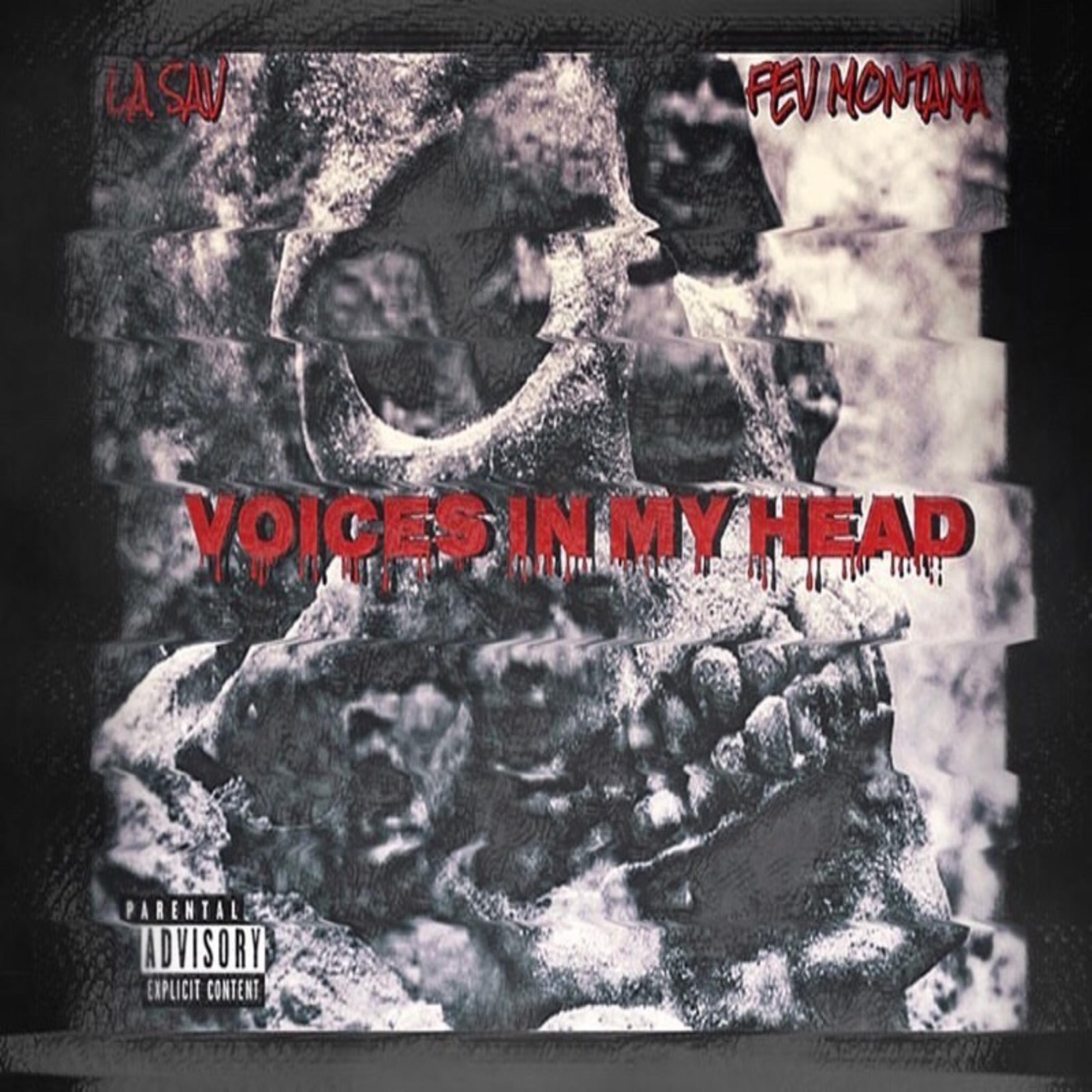 Voices In My Head artwork
