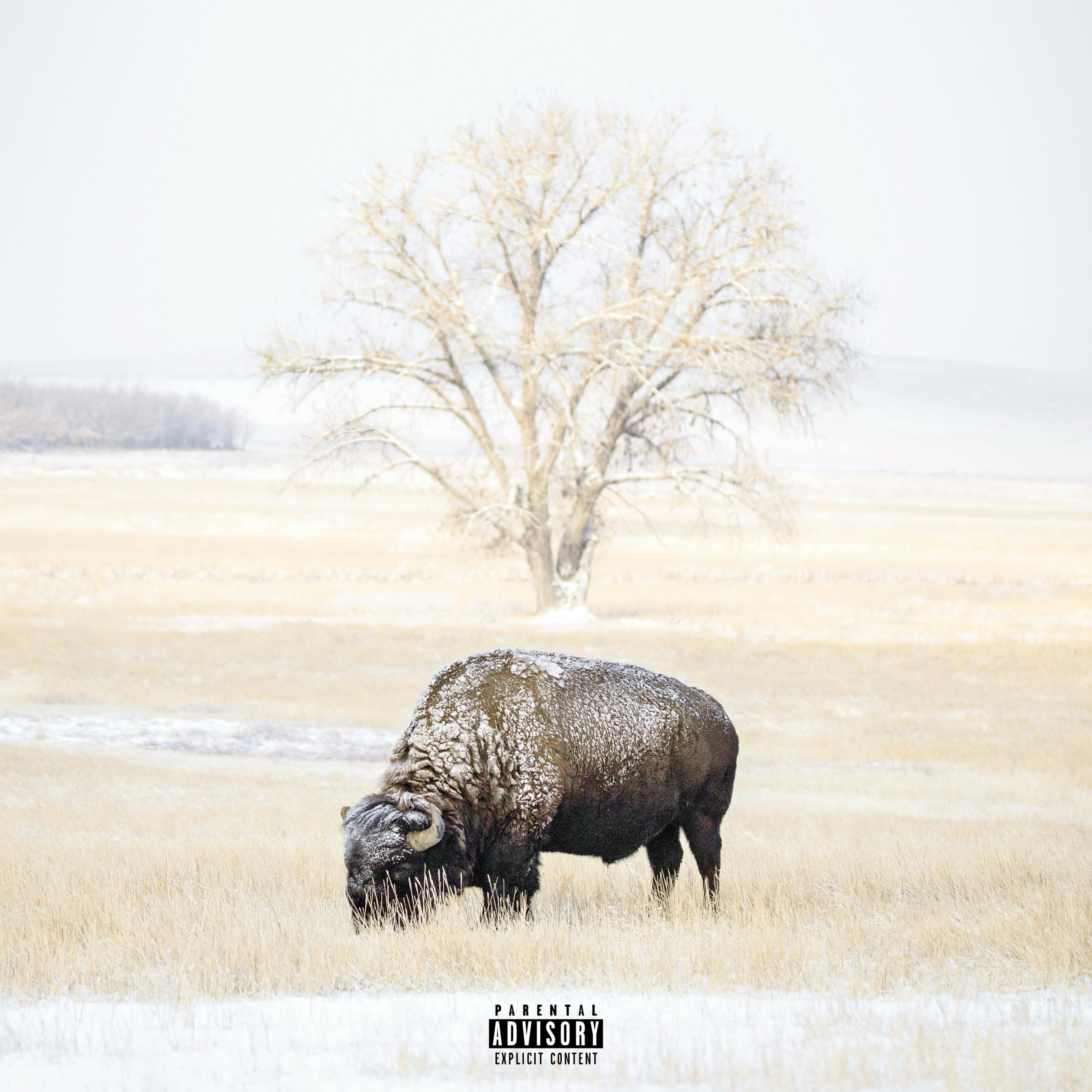 Bison Skin artwork