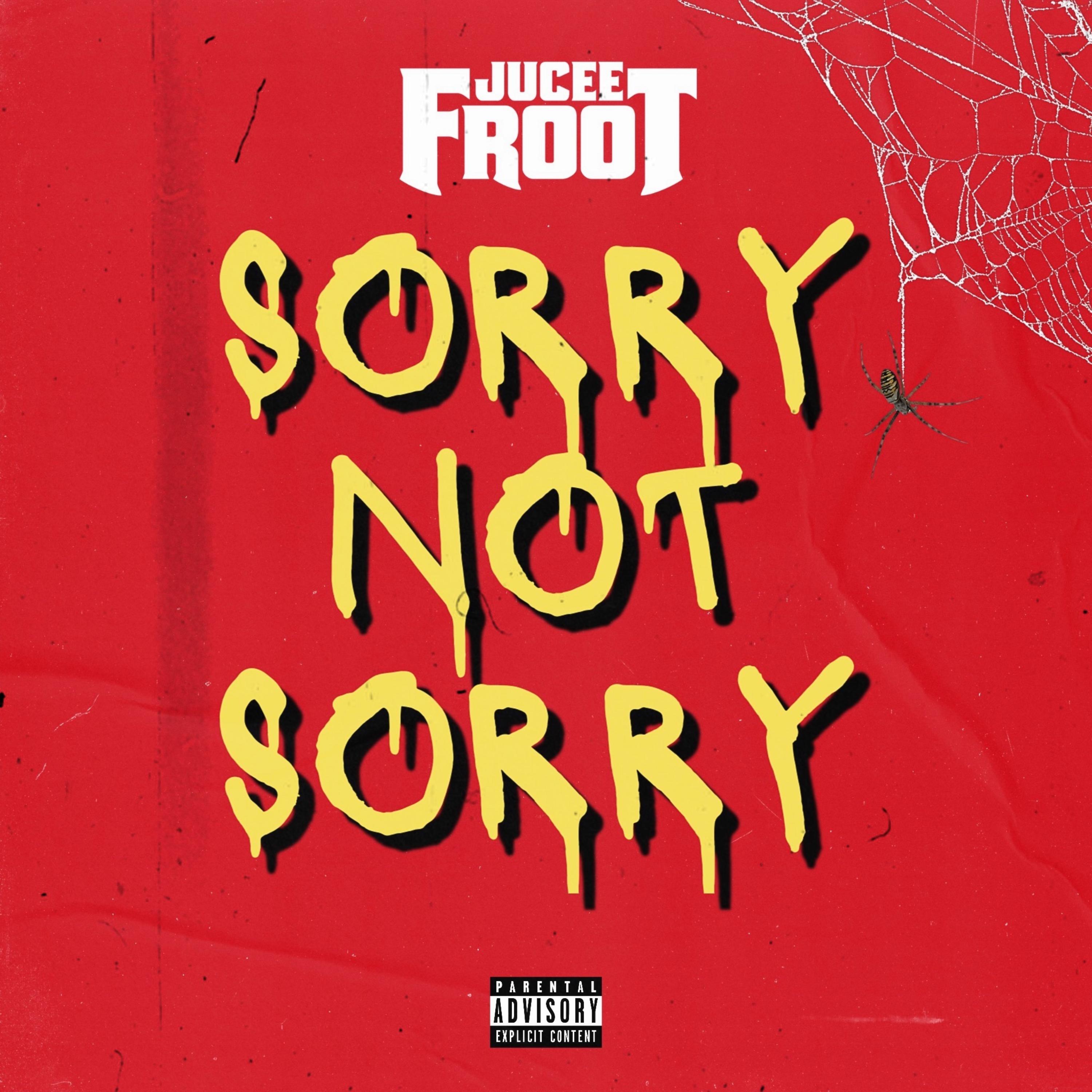Sorry Not Sorry artwork