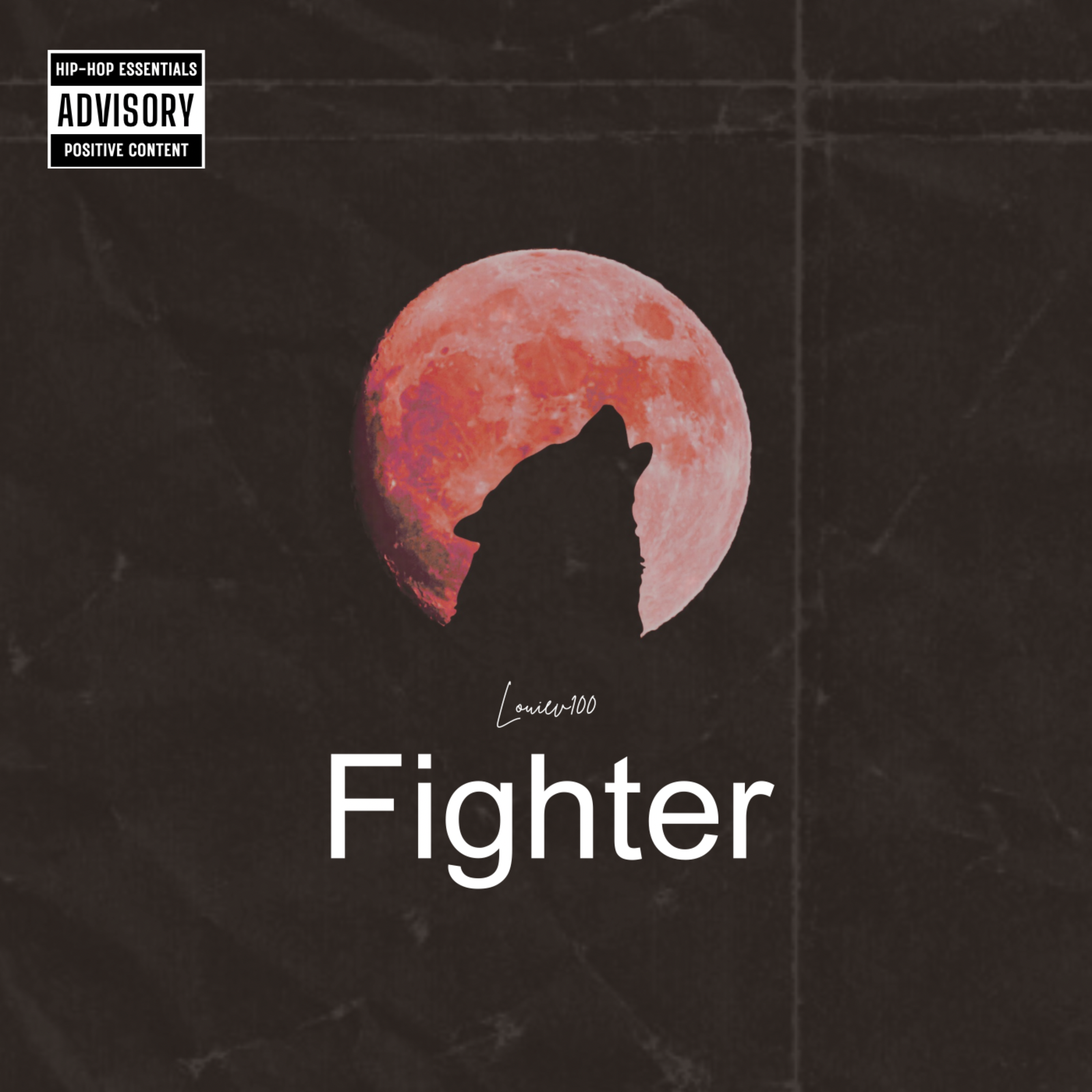 Fighter artwork
