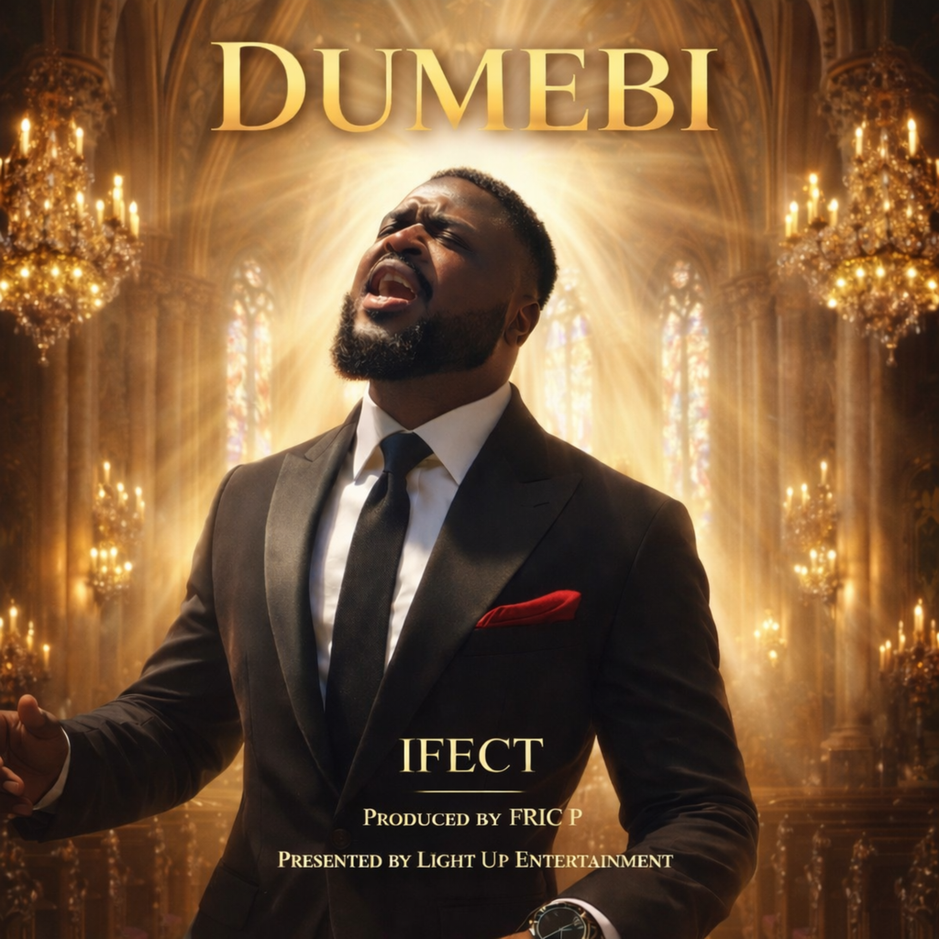 Dumebi artwork