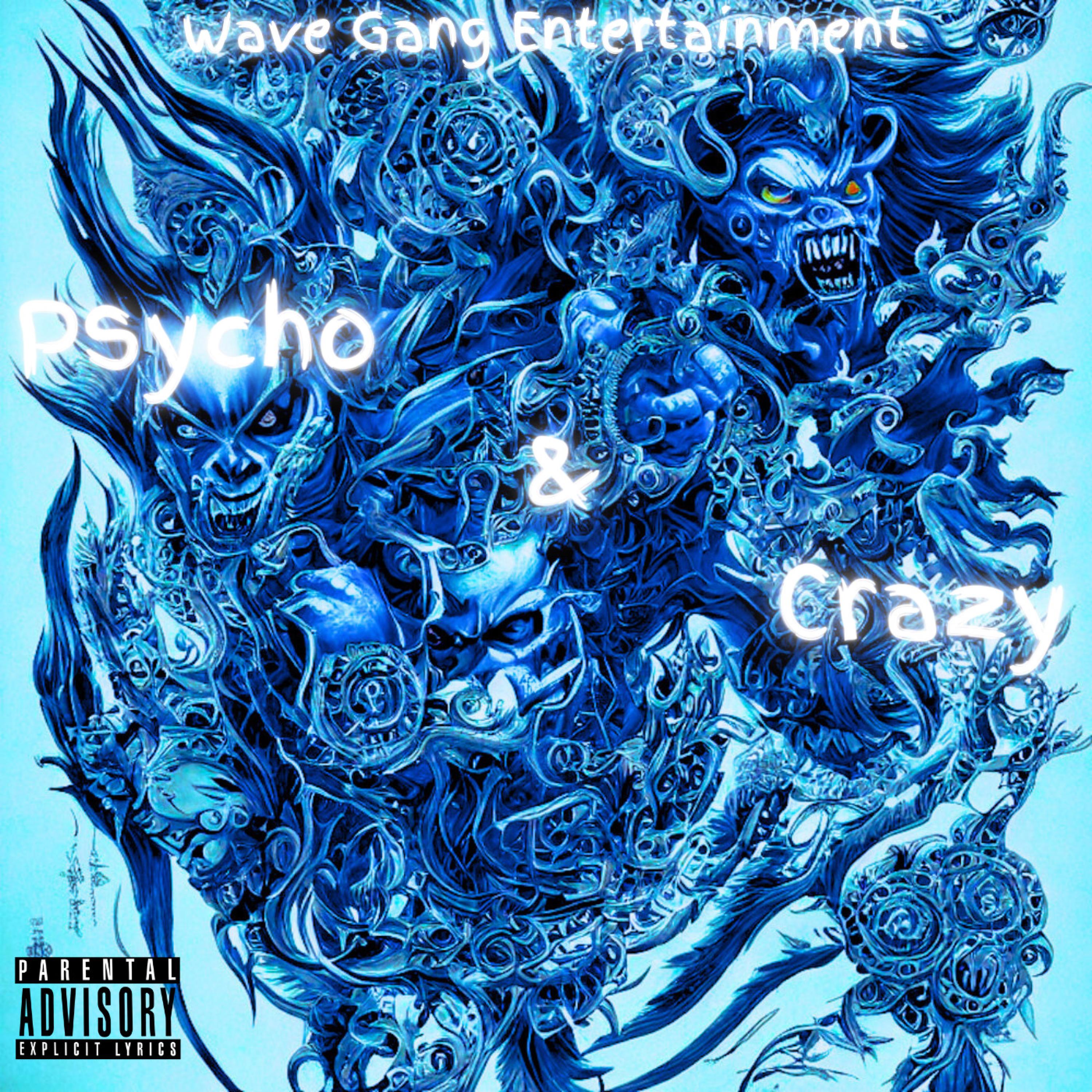 Psycho & Crazy by TheyHateAmbition cover art