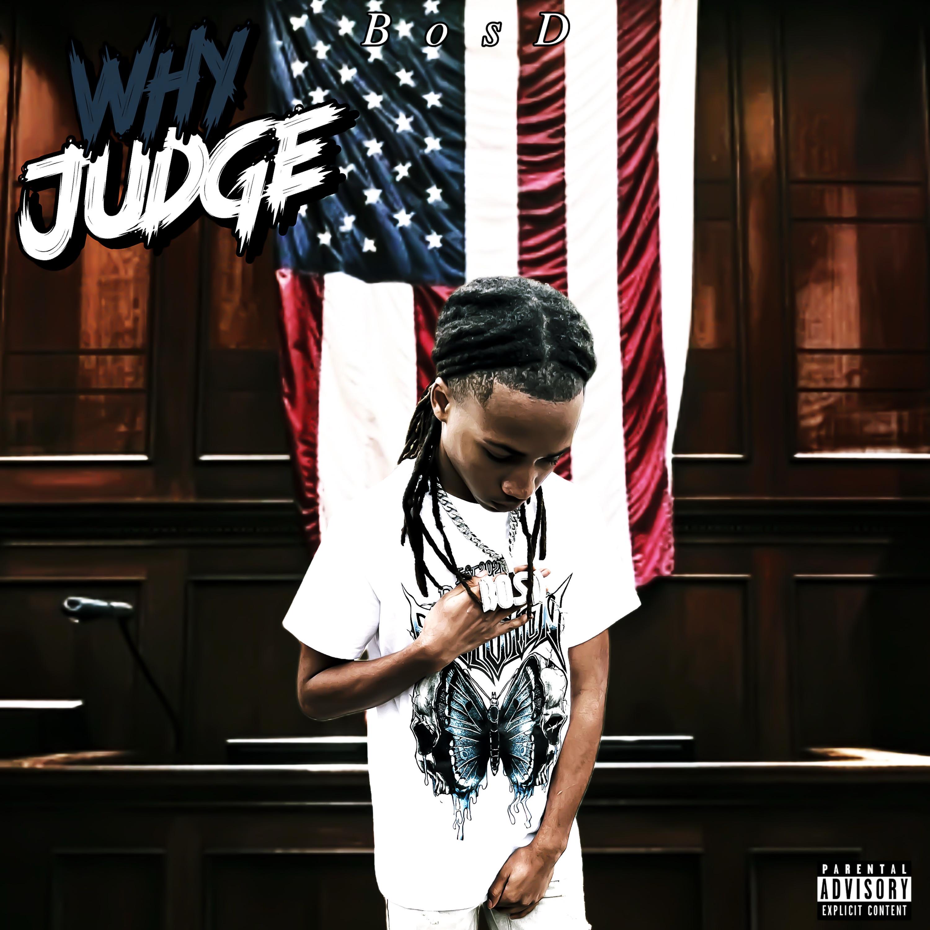 Why Judge artwork
