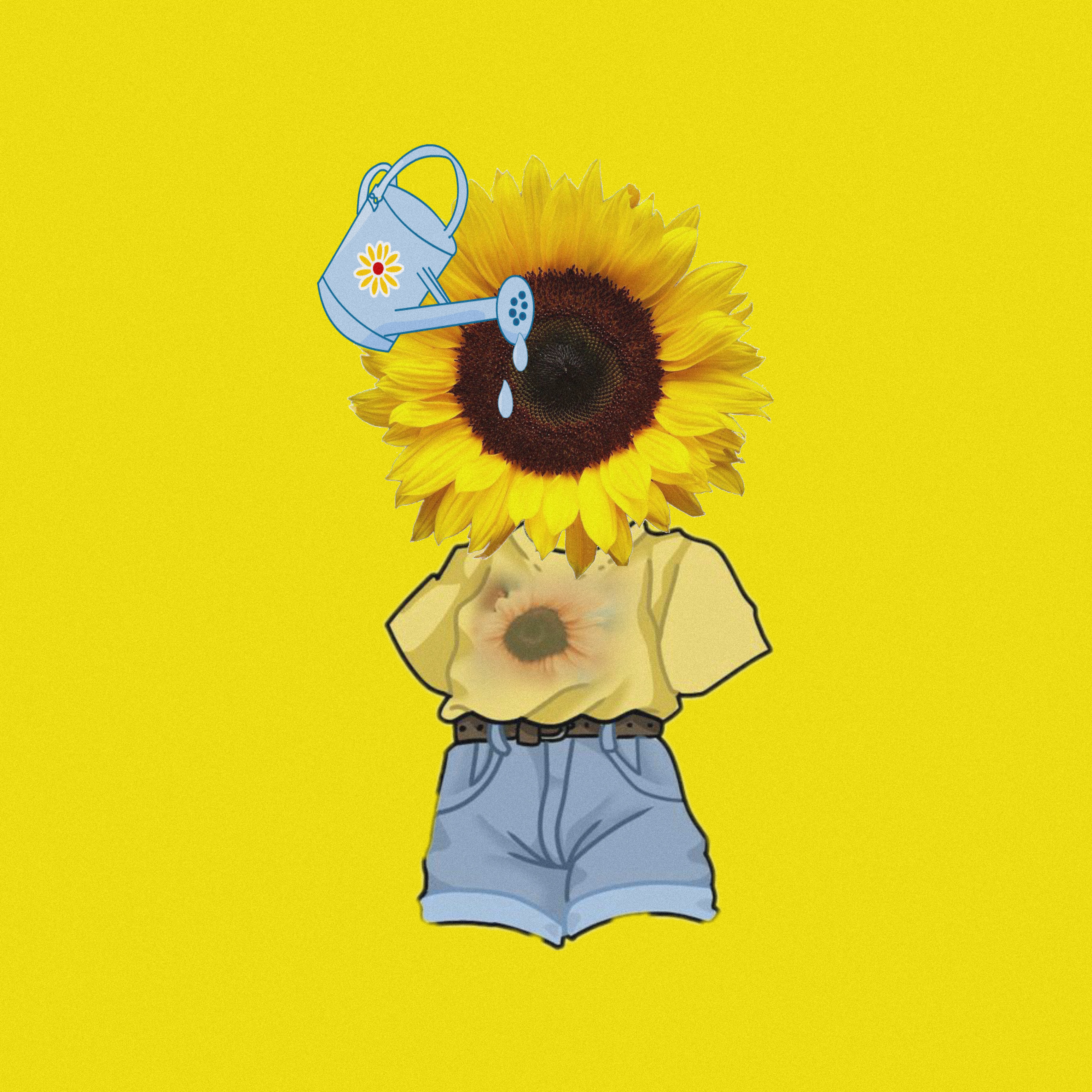 May I artwork