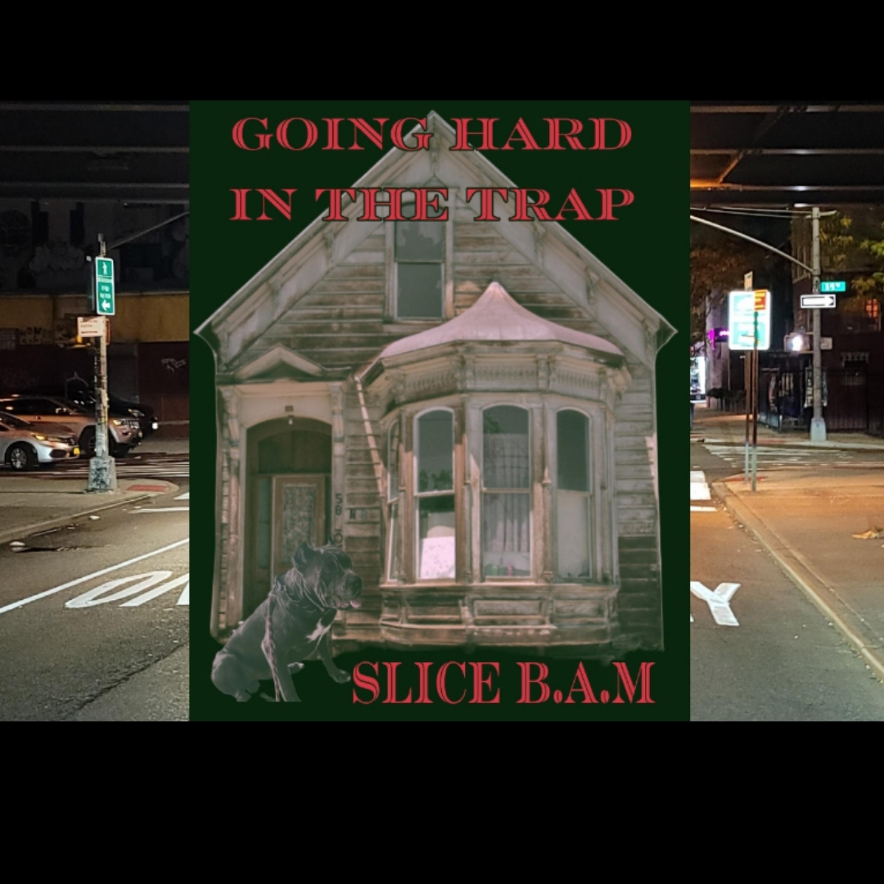 Going Hard In The Trap artwork