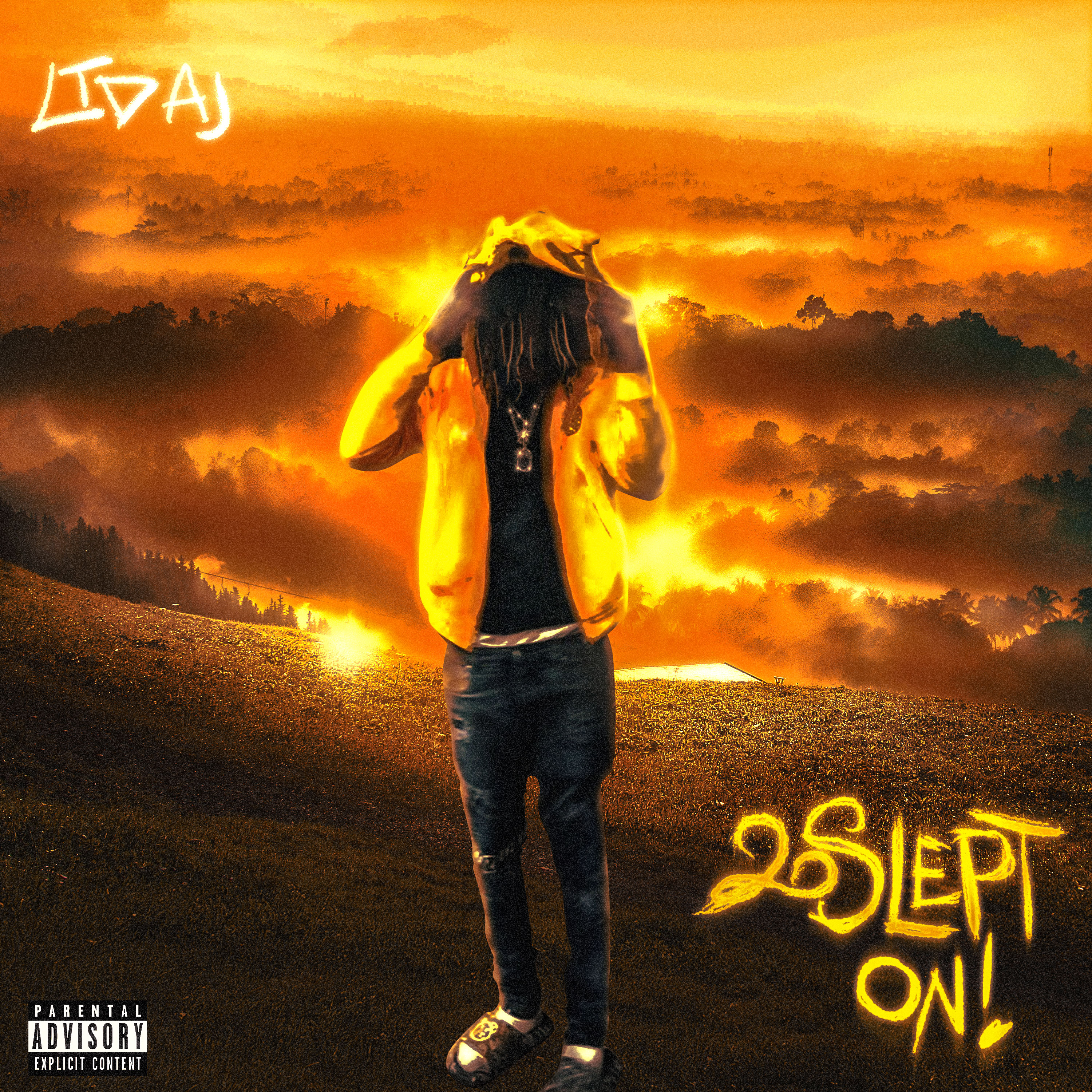 2SleptOn! artwork