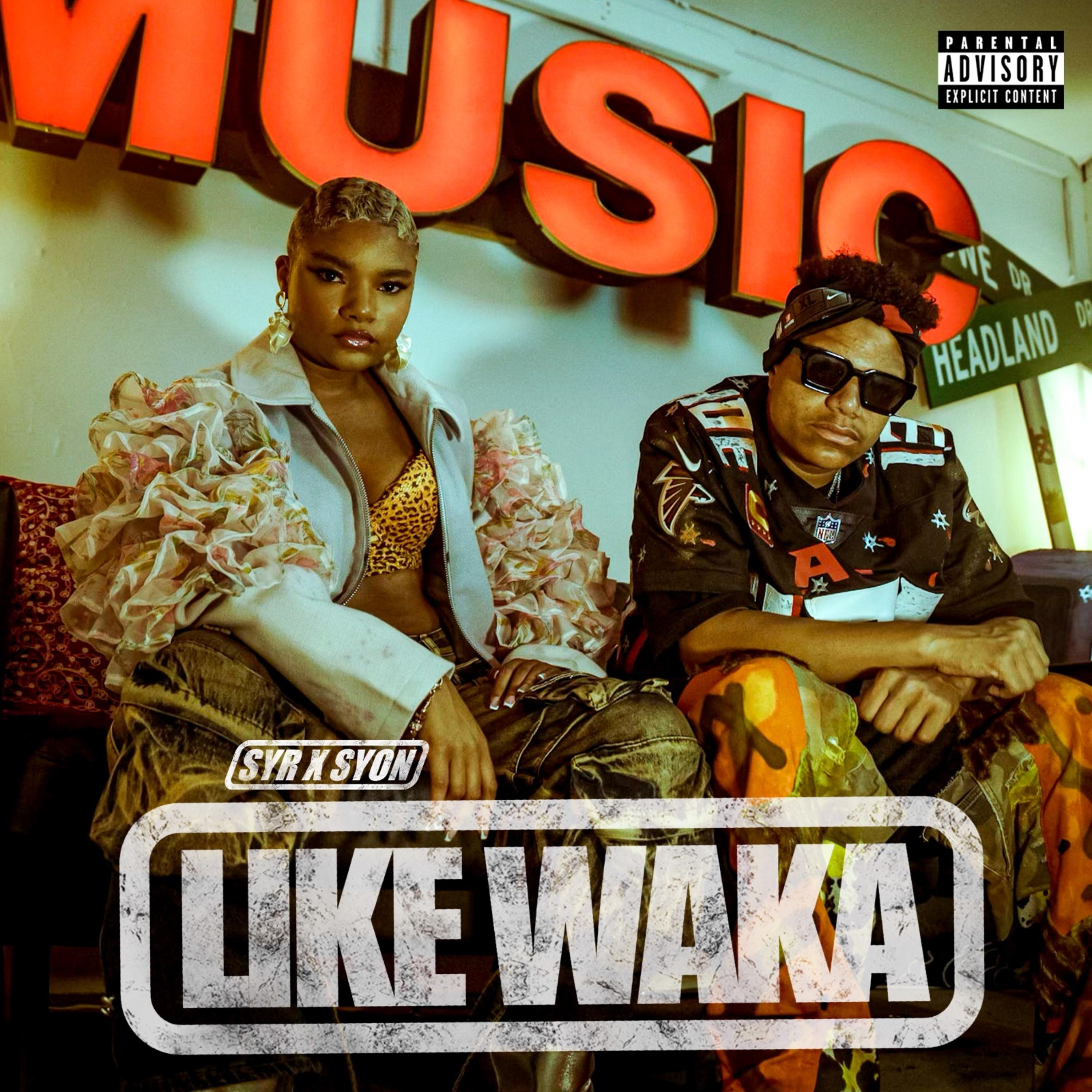 Like Waka artwork