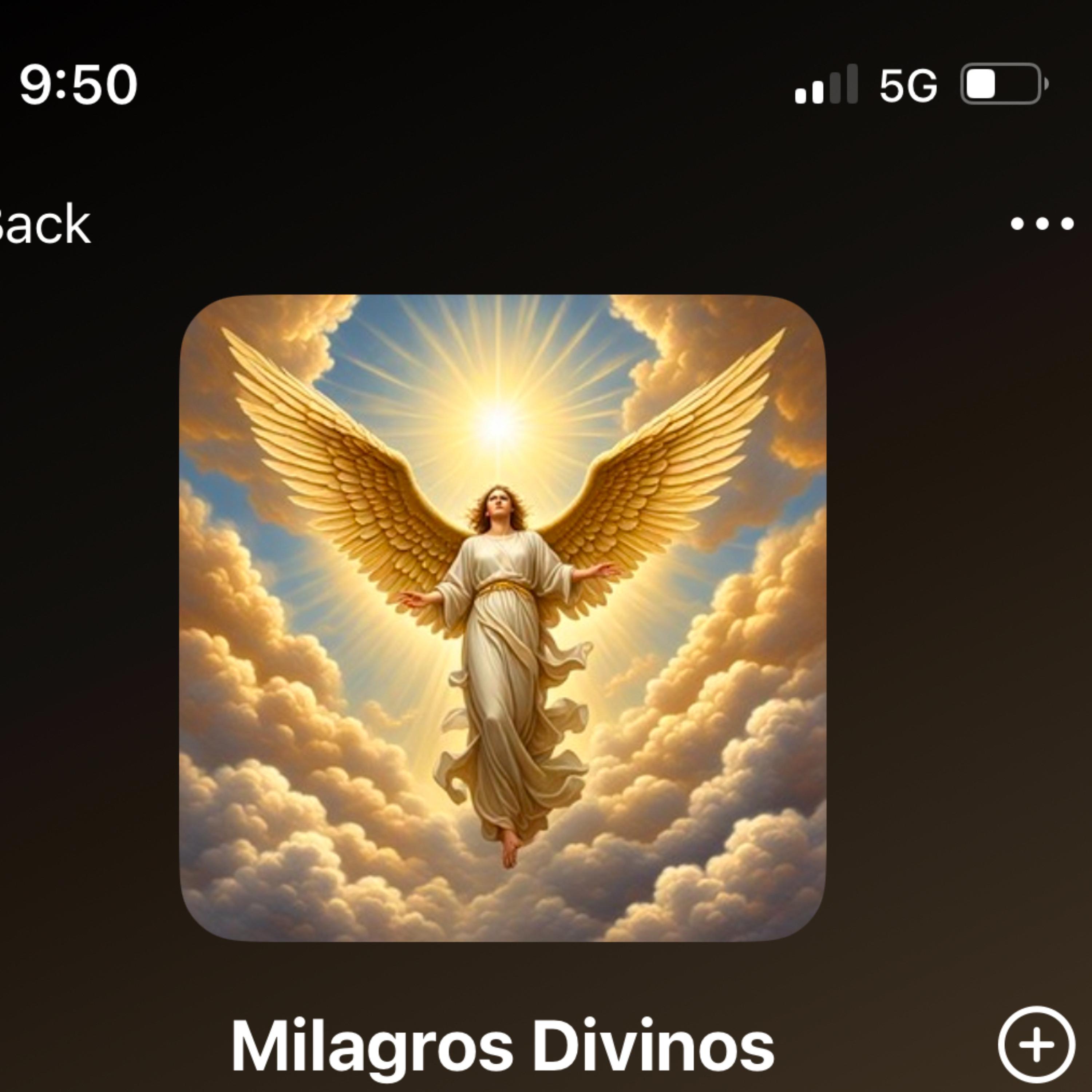 Milagros Divinos artwork