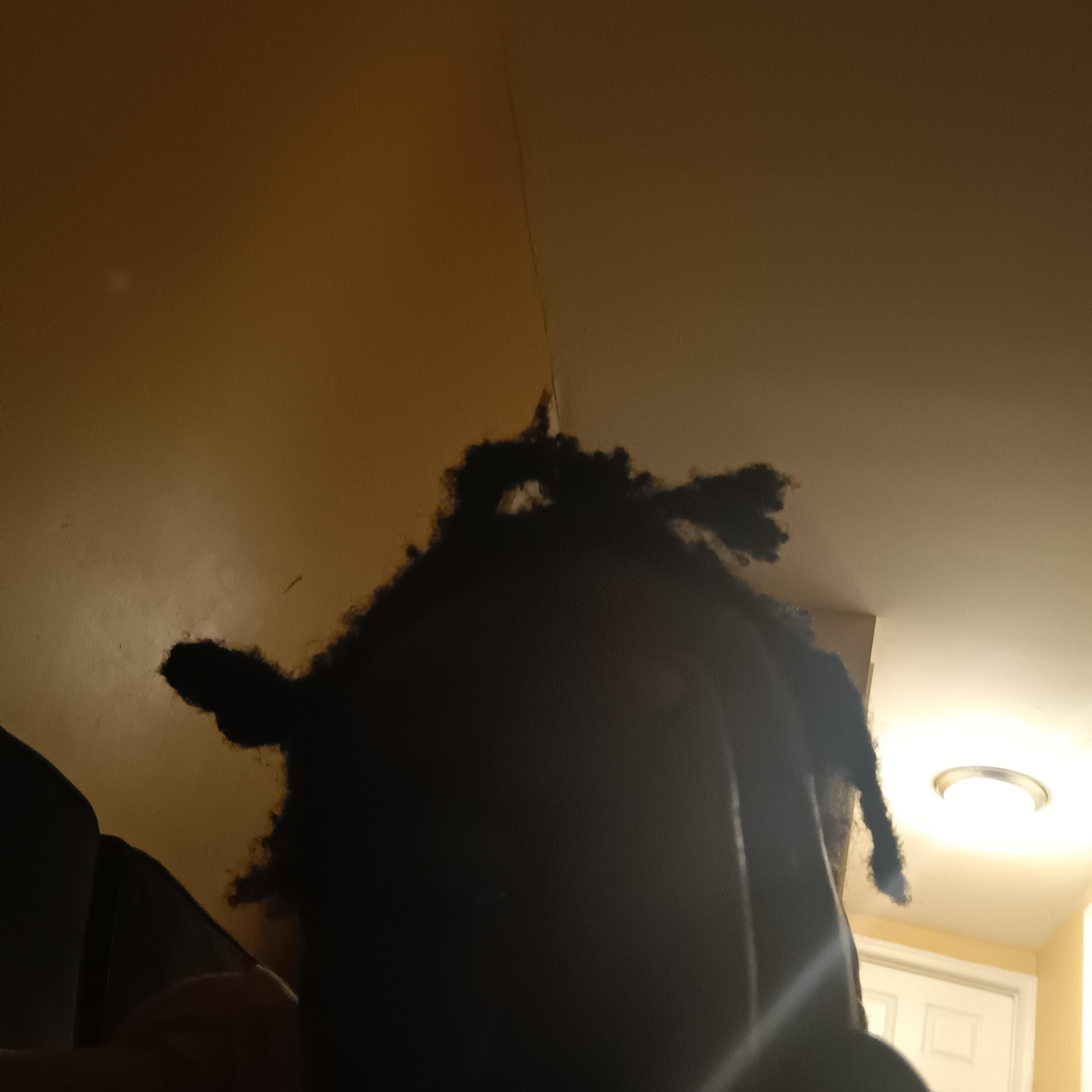 Imma Rockstar artwork