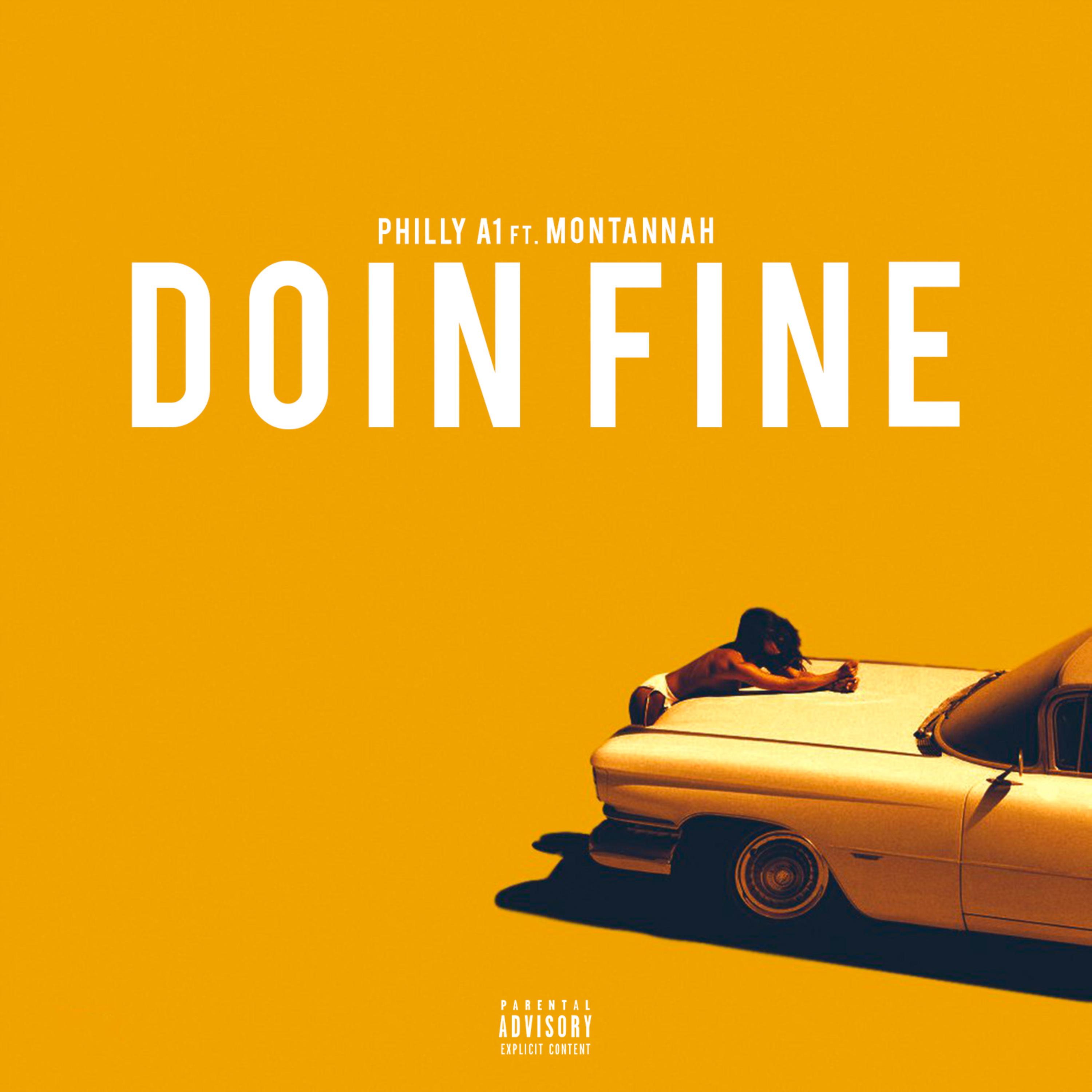 Doin Fine artwork