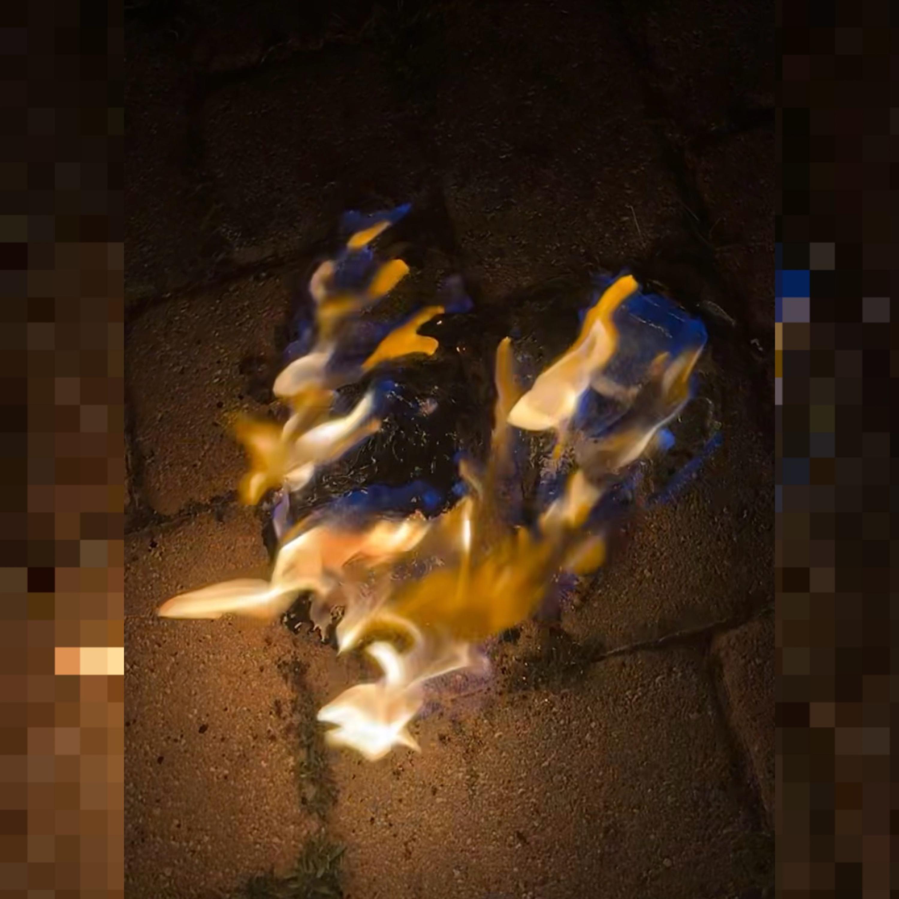 Hot Shit artwork
