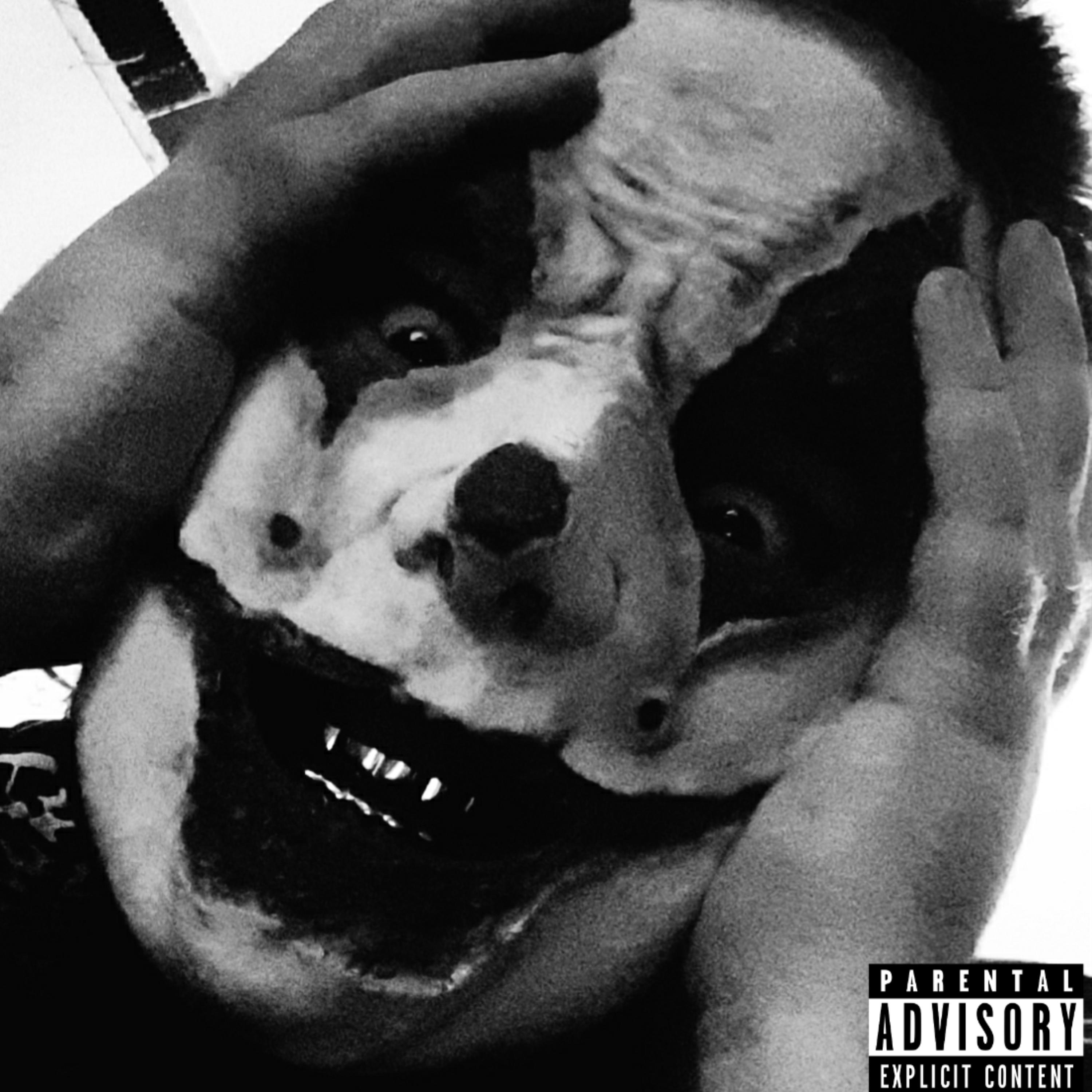 MUDDY $MOKE artwork