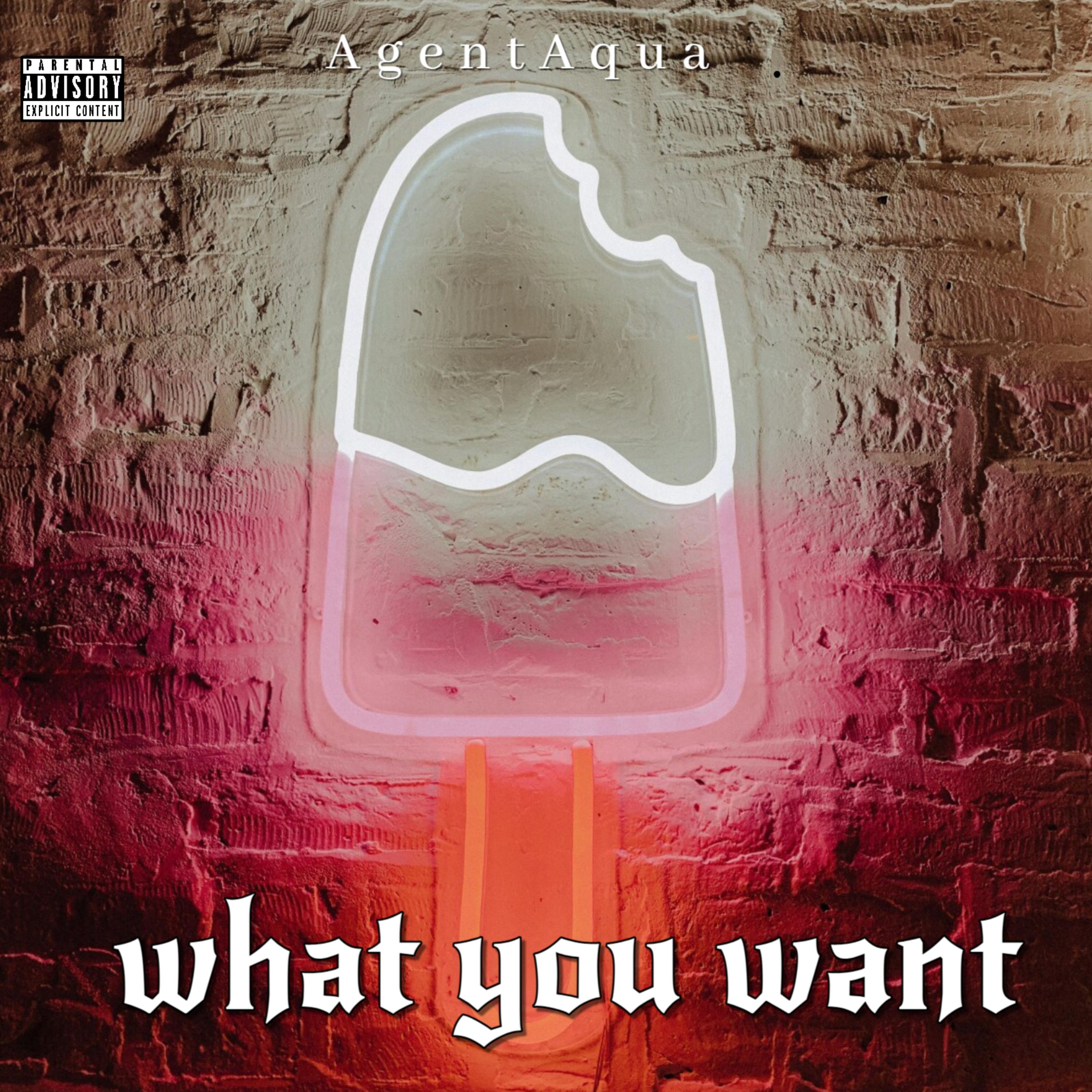 What You Want artwork