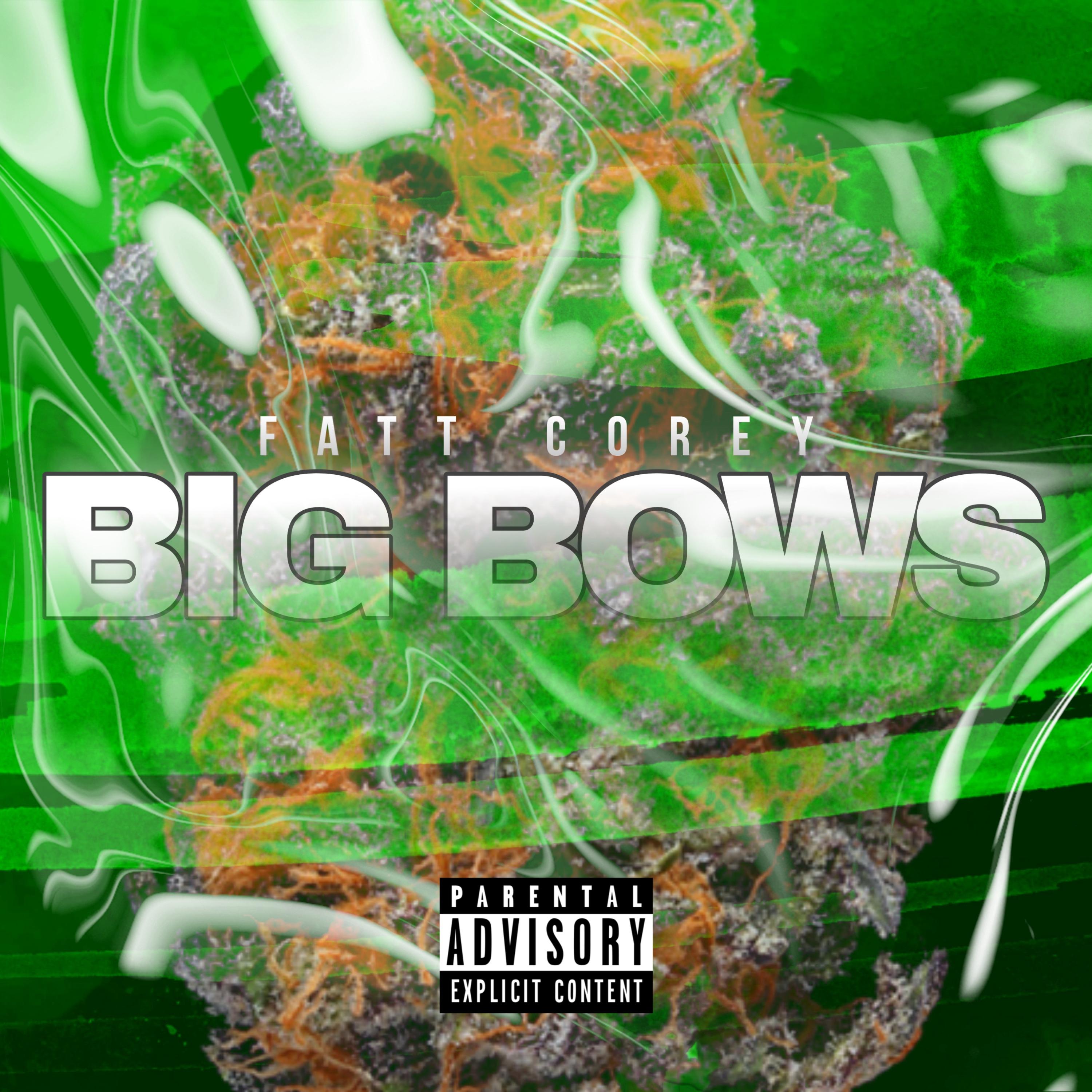 BIG BOWS artwork
