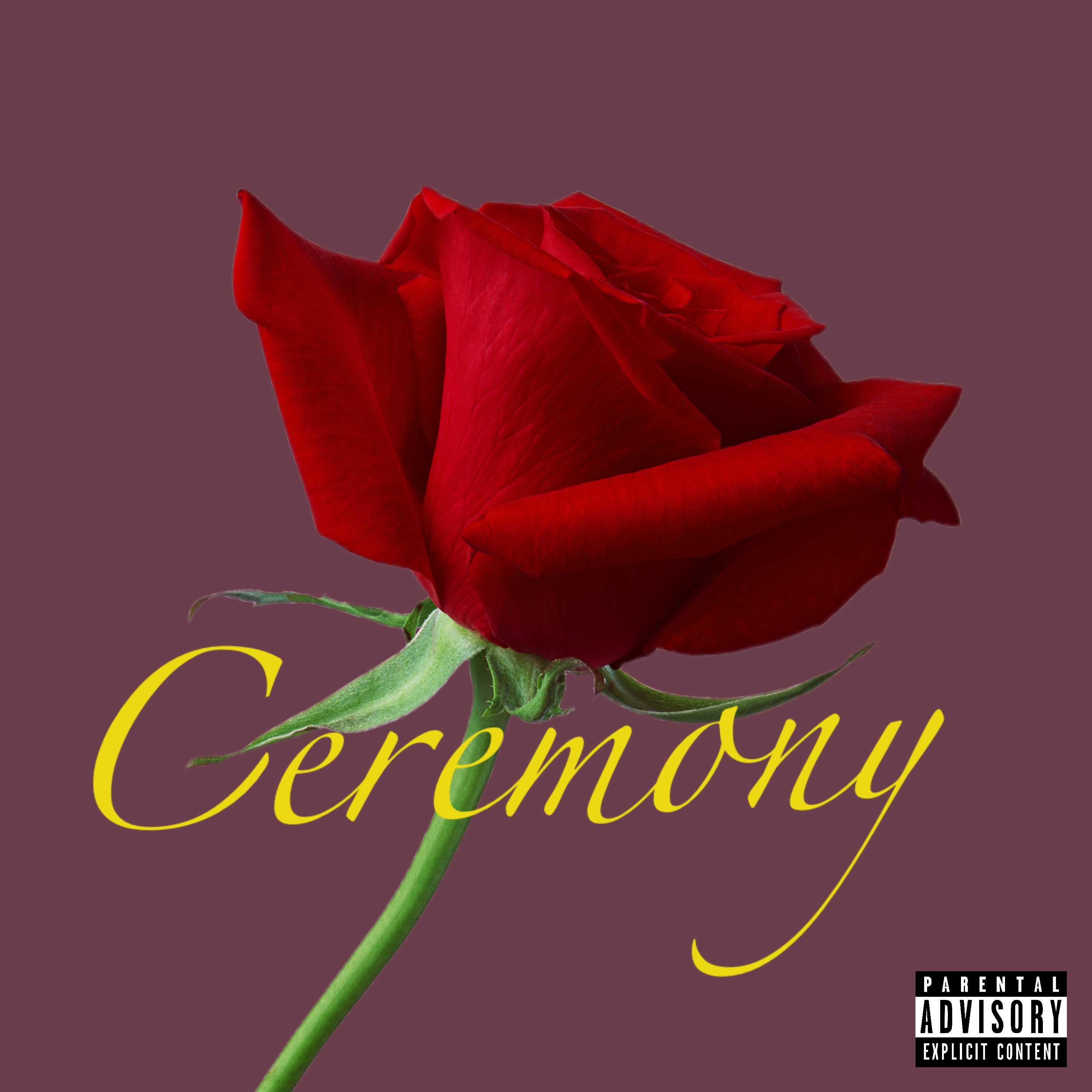 Ceremony by KyleMalik cover art
