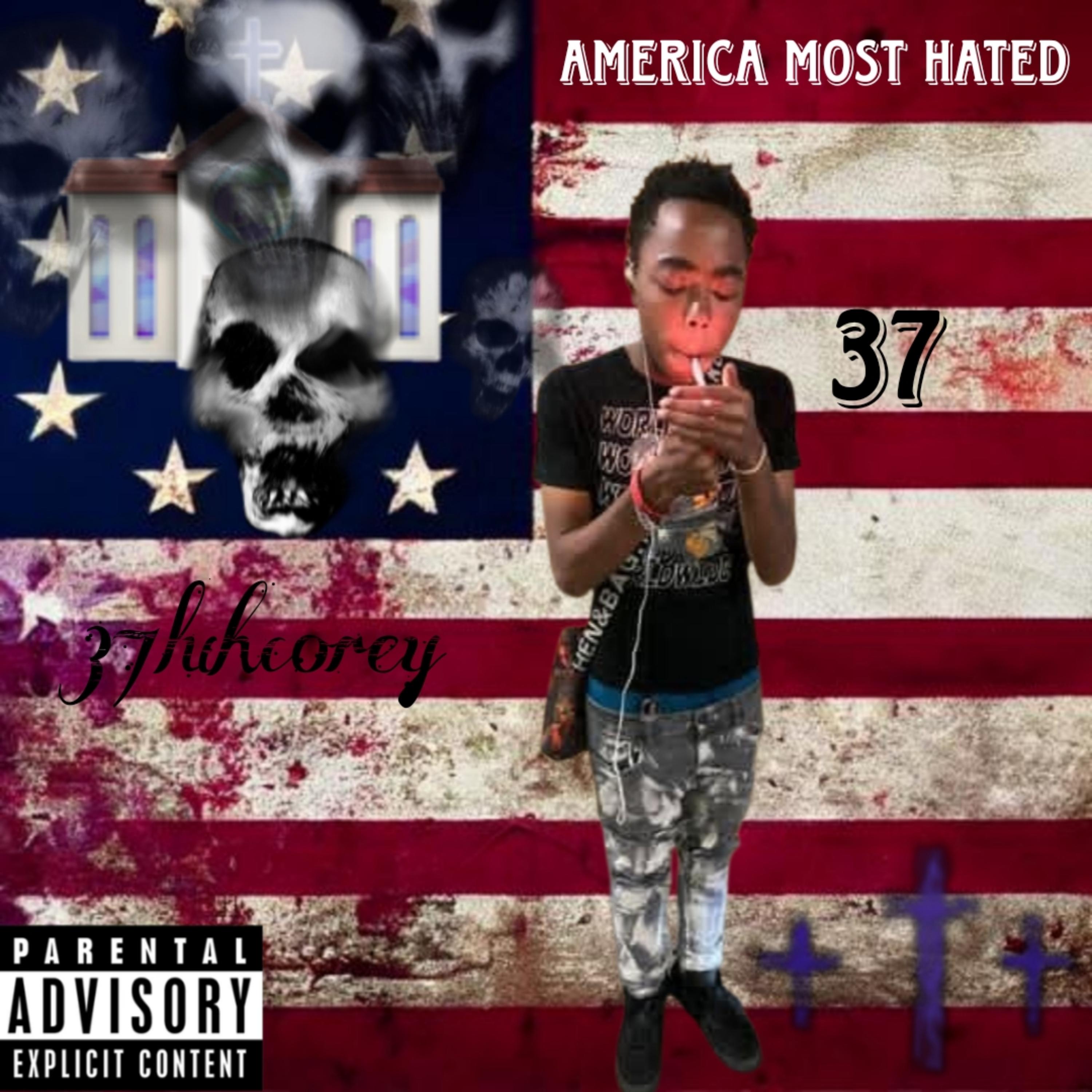 America Most Hated artwork