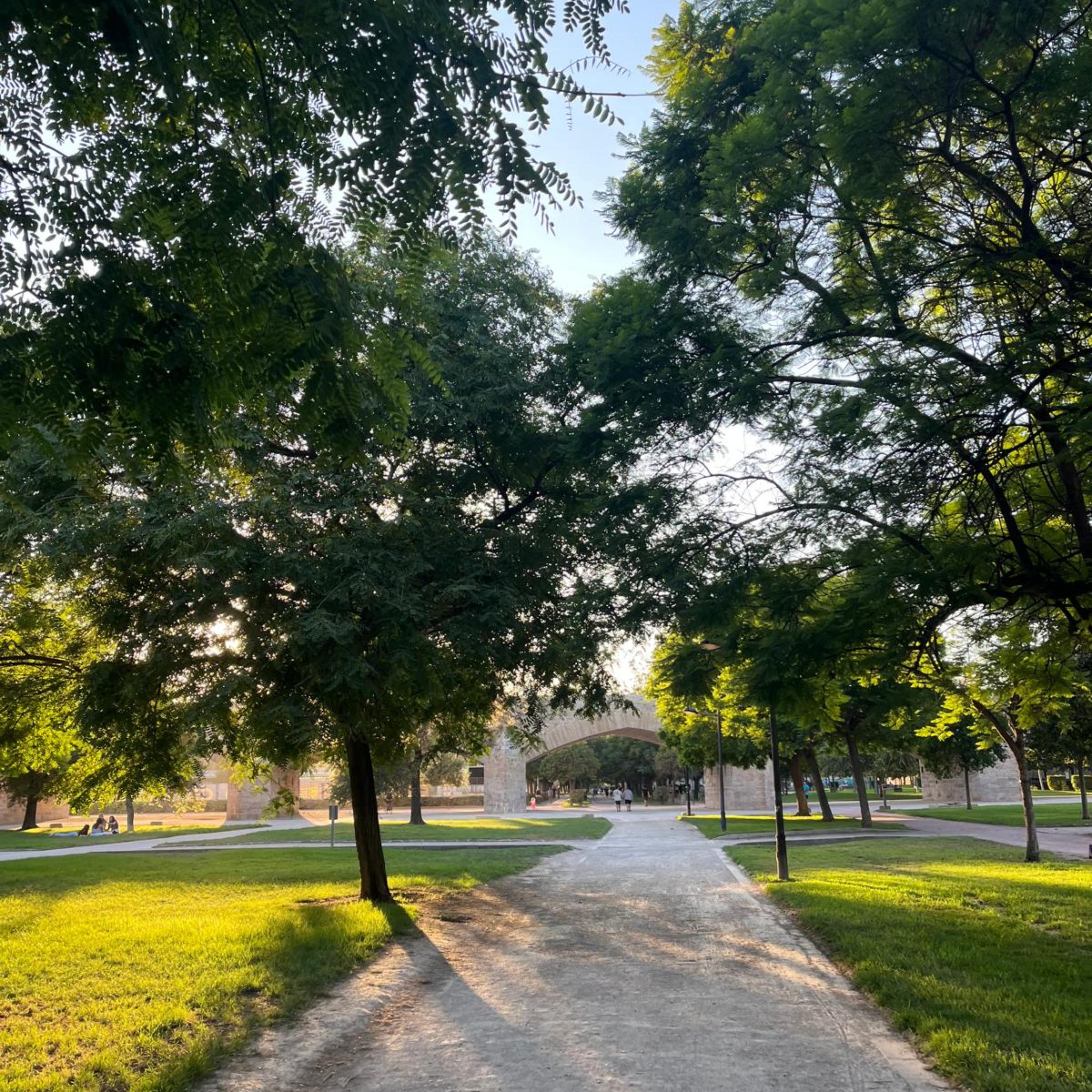 Música Bossa Nova artwork